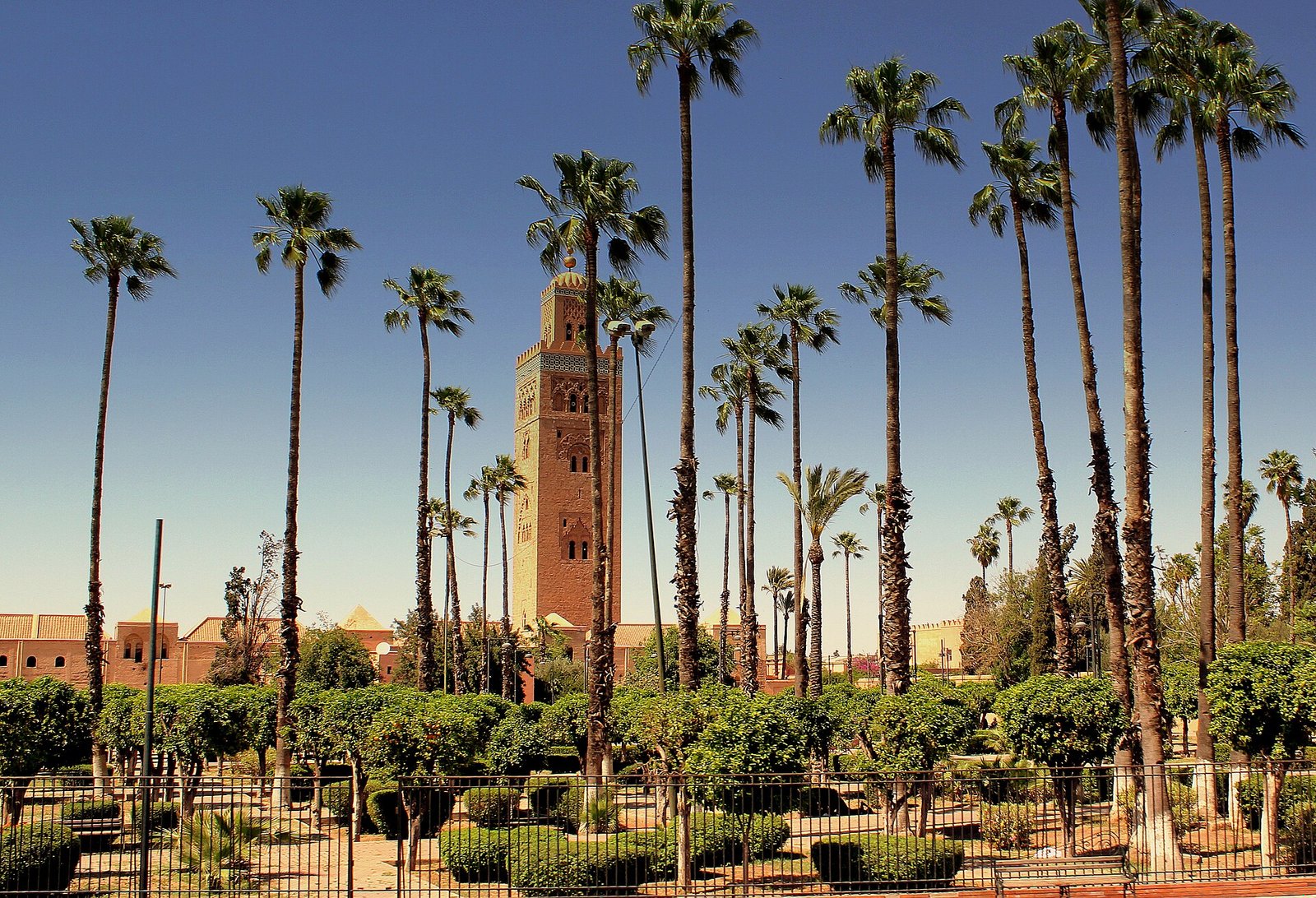 Koutoubia Gardens: Near Morocco's Earliest Four-Part Garden