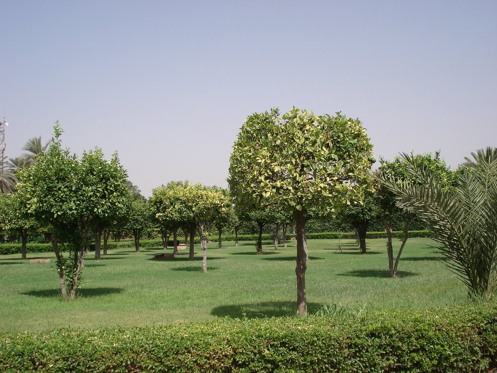 Koutoubia Gardens: Near Morocco's Earliest Four-Part Garden