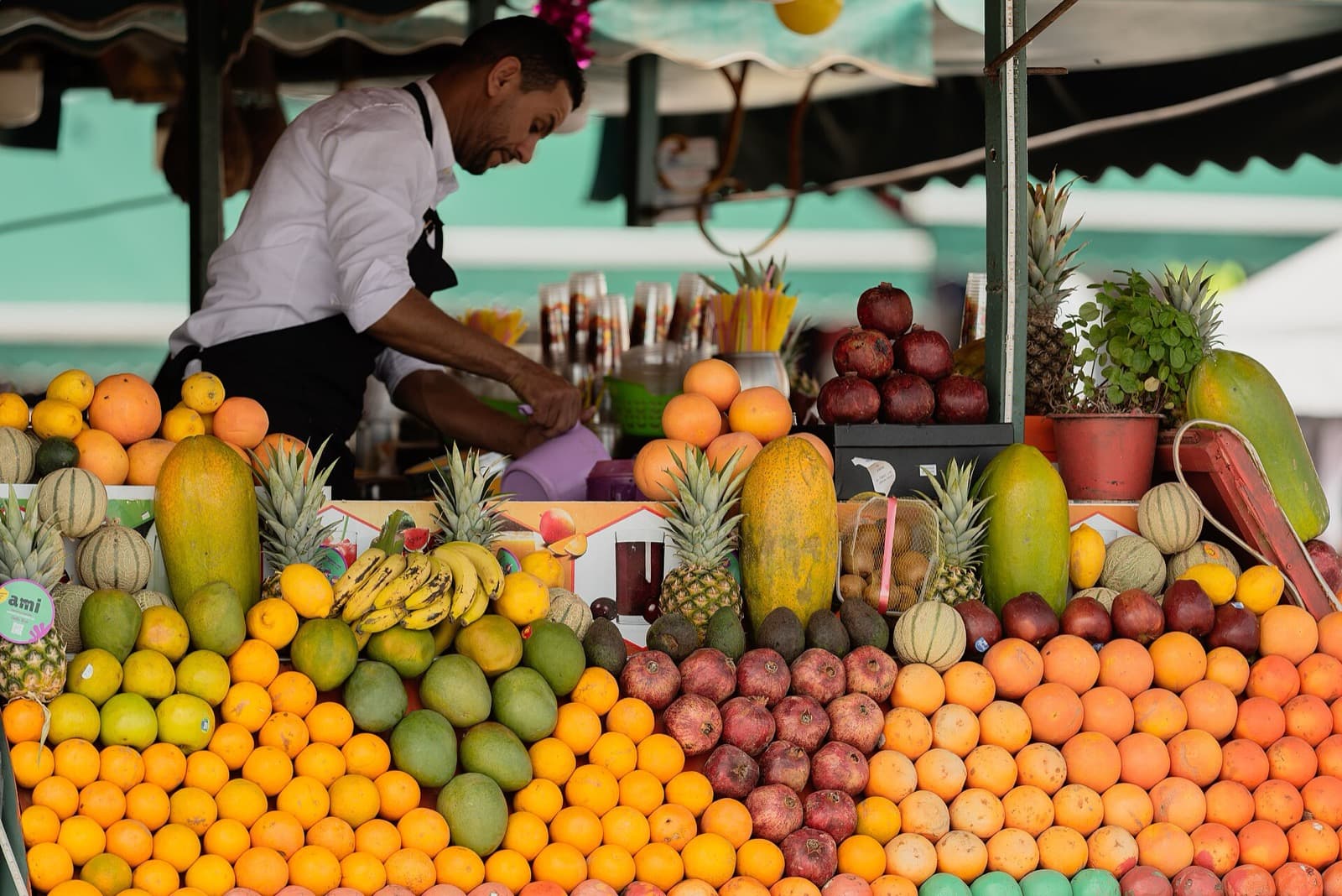 One Day in Marrakech: A Walkable Morning-to-Evening Itinerary
