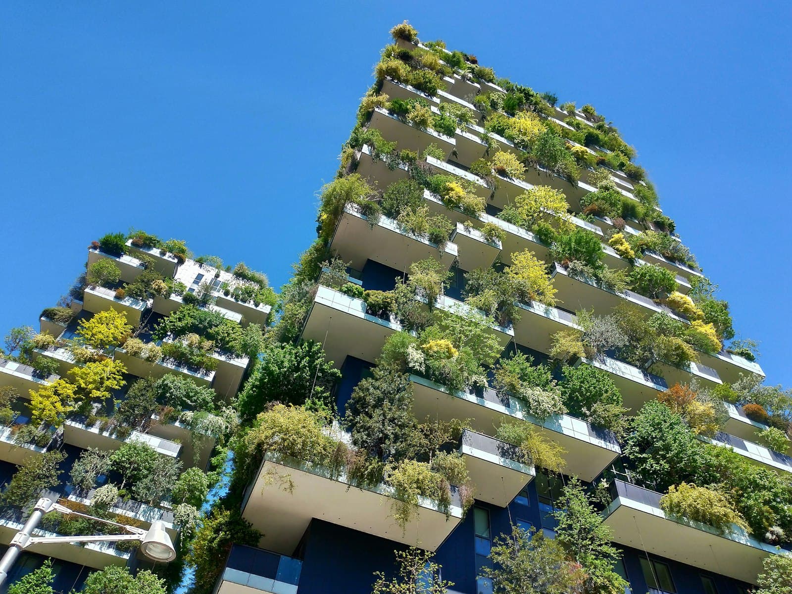The Vertical Forest