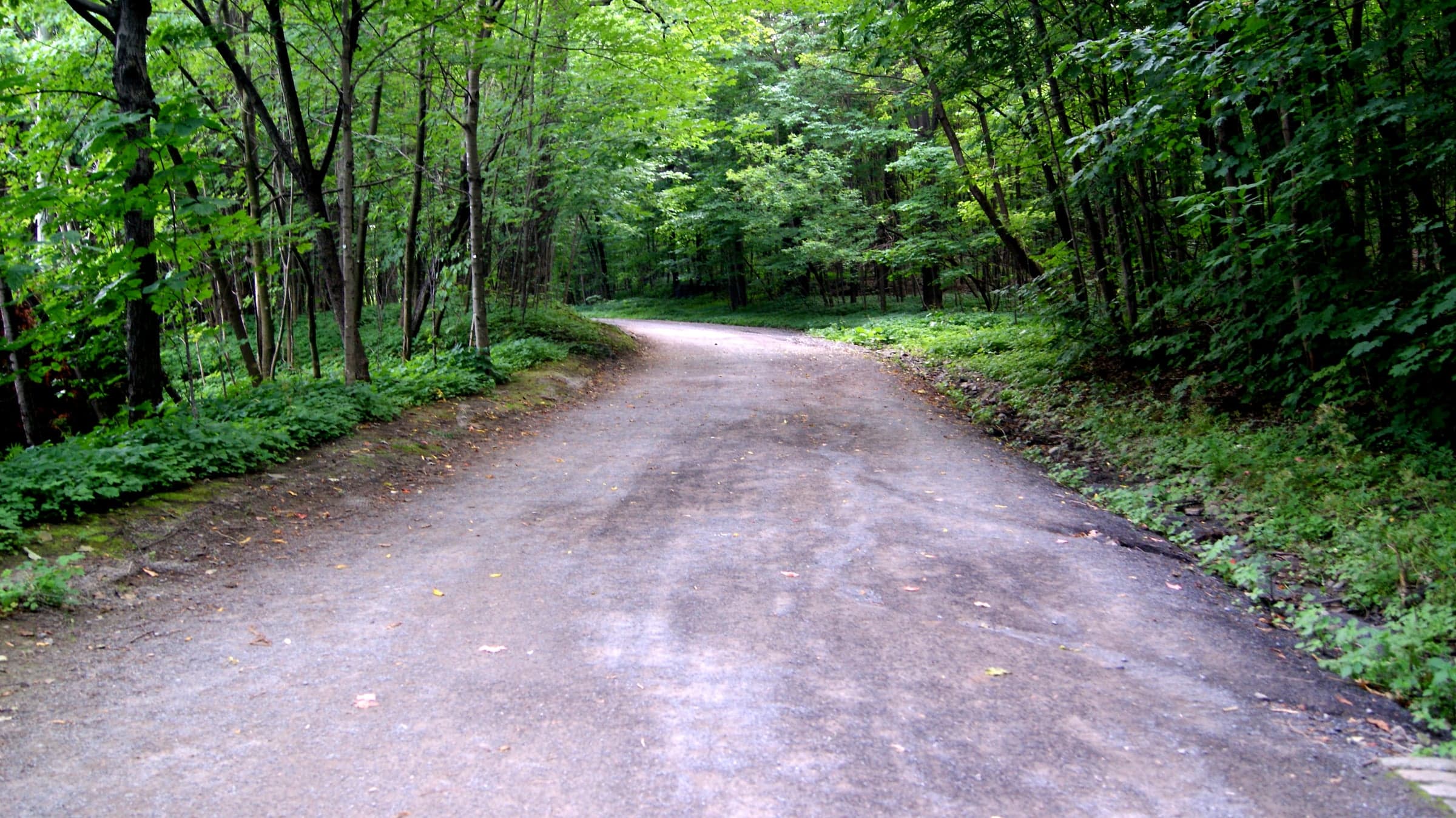 Olmsted's Carriage Road: Why It Zigzags