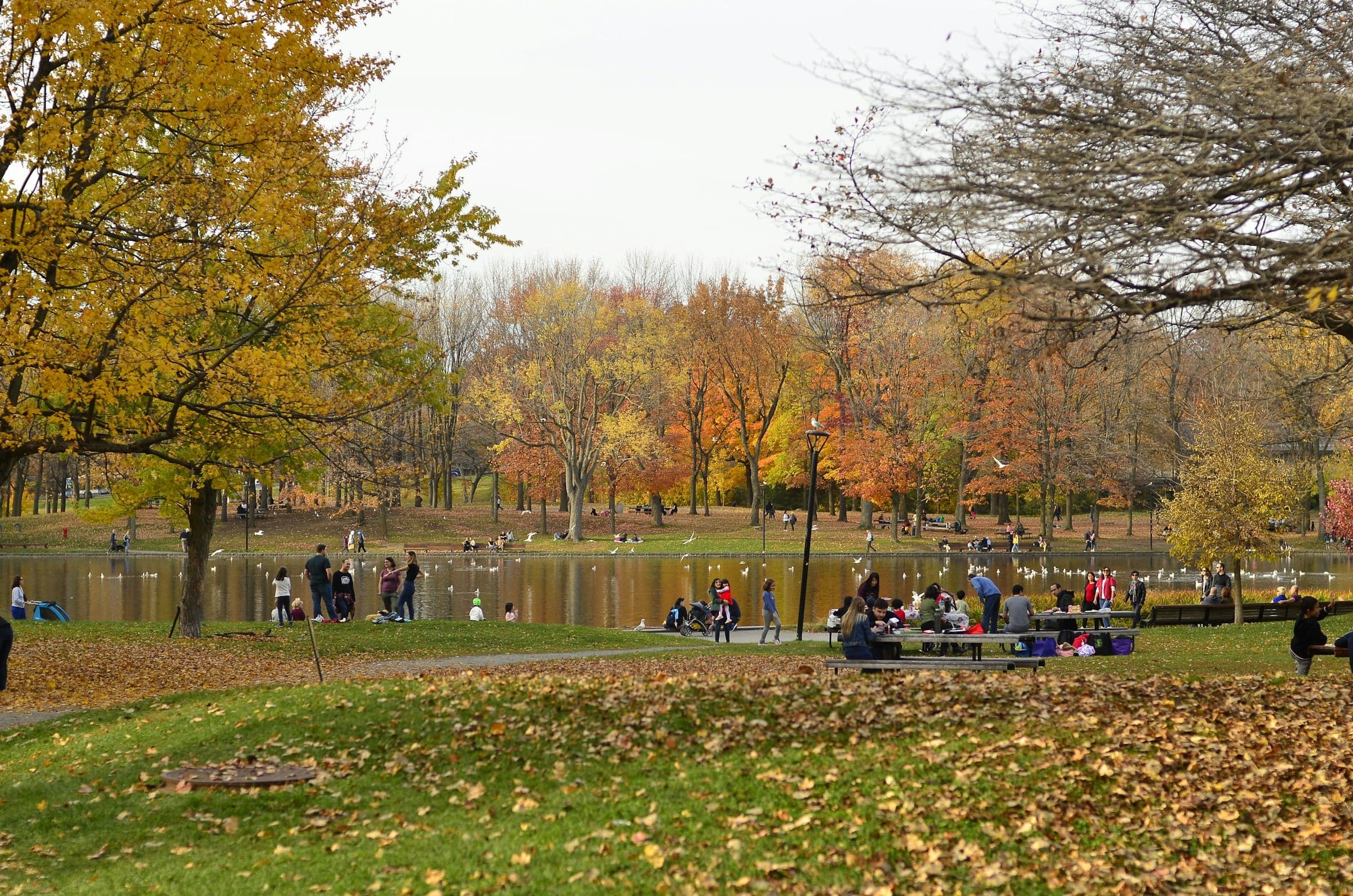 Beaver Lake: A Lake Made in the Depression