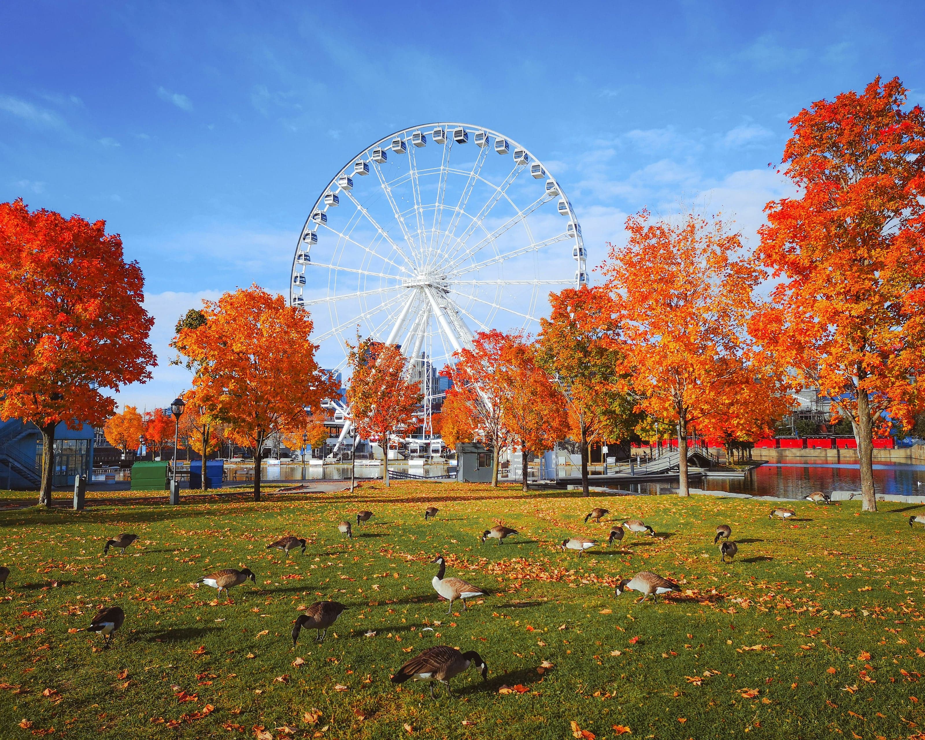 Old Montreal: From the Founding Fort to the Old Port