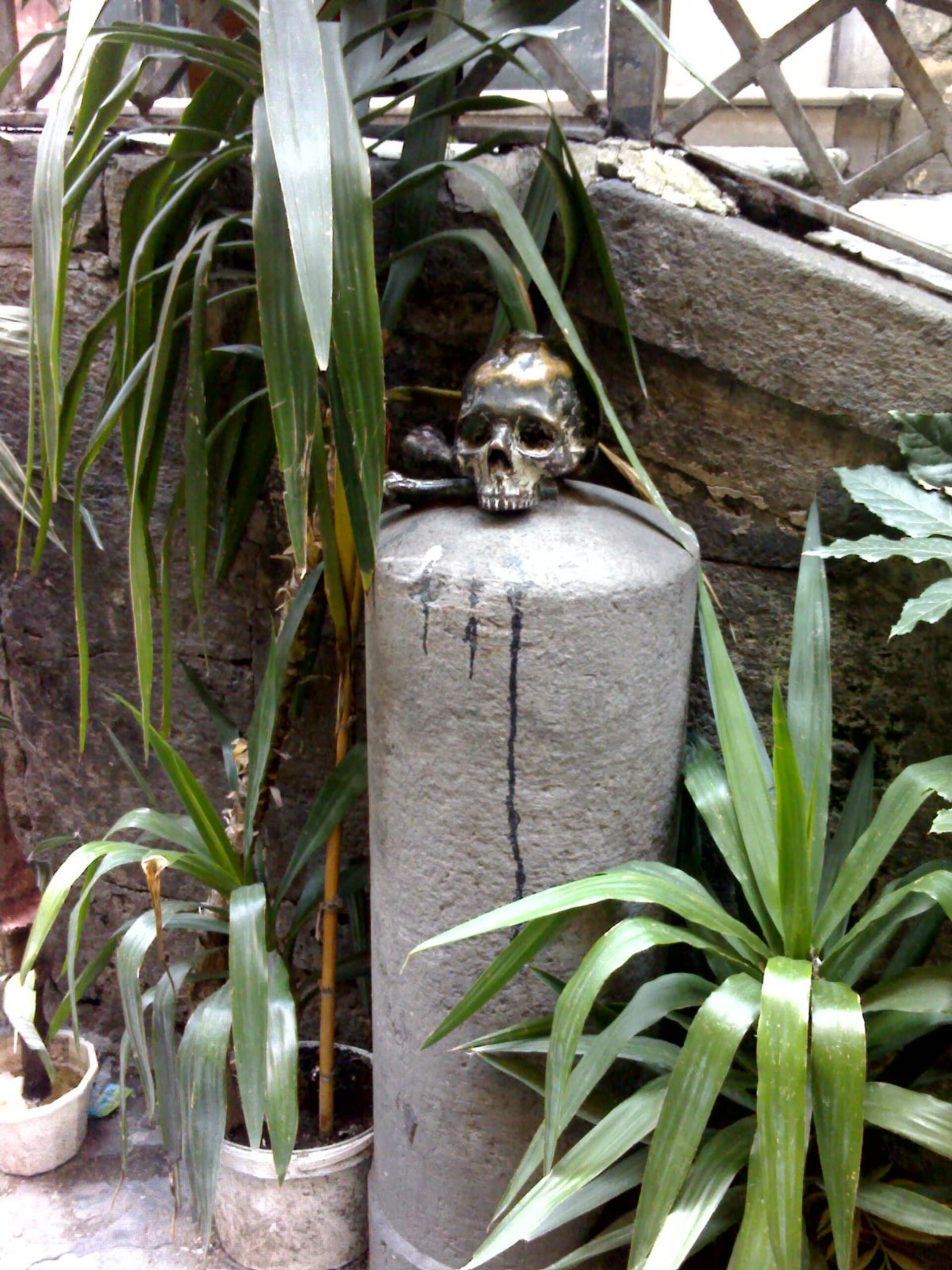Purgatorio ad Arco: The Skulls of the Souls