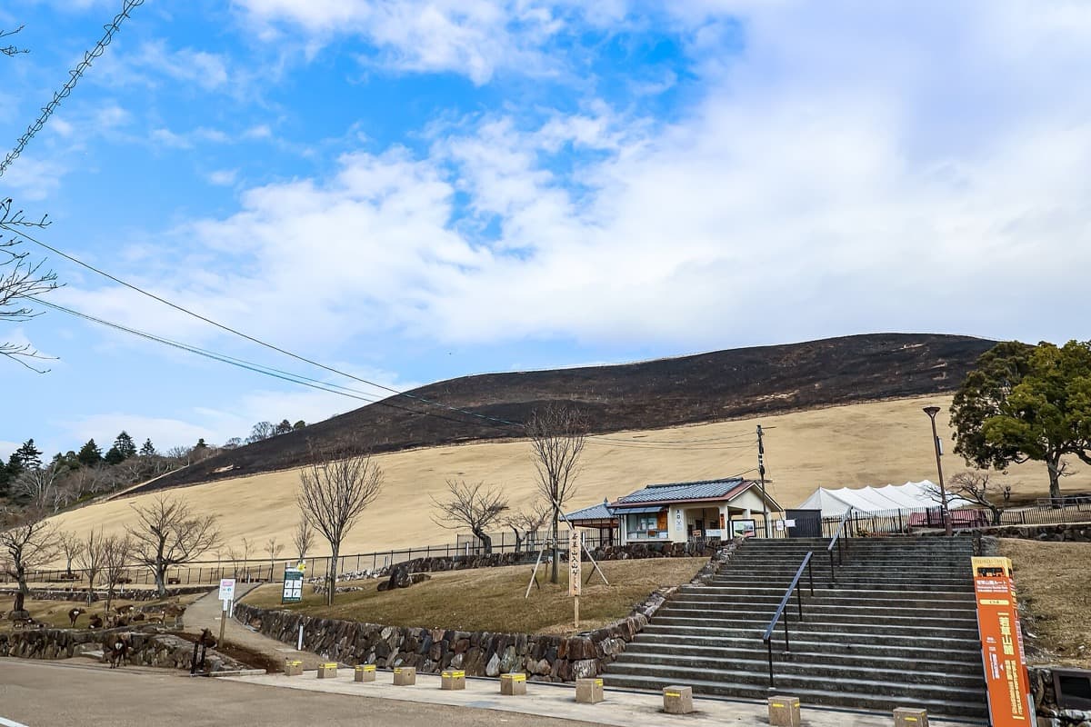 Mount Wakakusa: The Hillside That Is Burned
