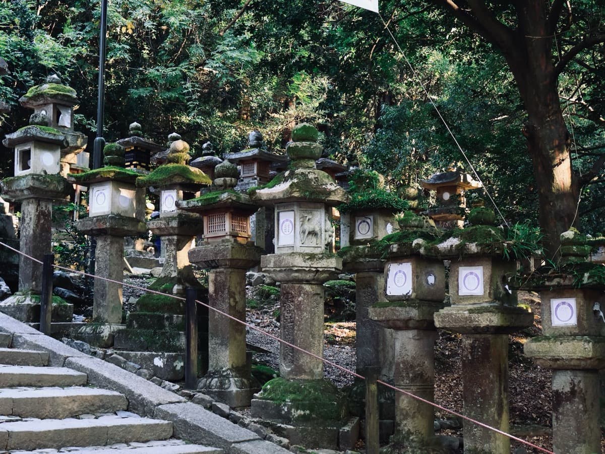 Kasuga Taisha: The Sacred Forest