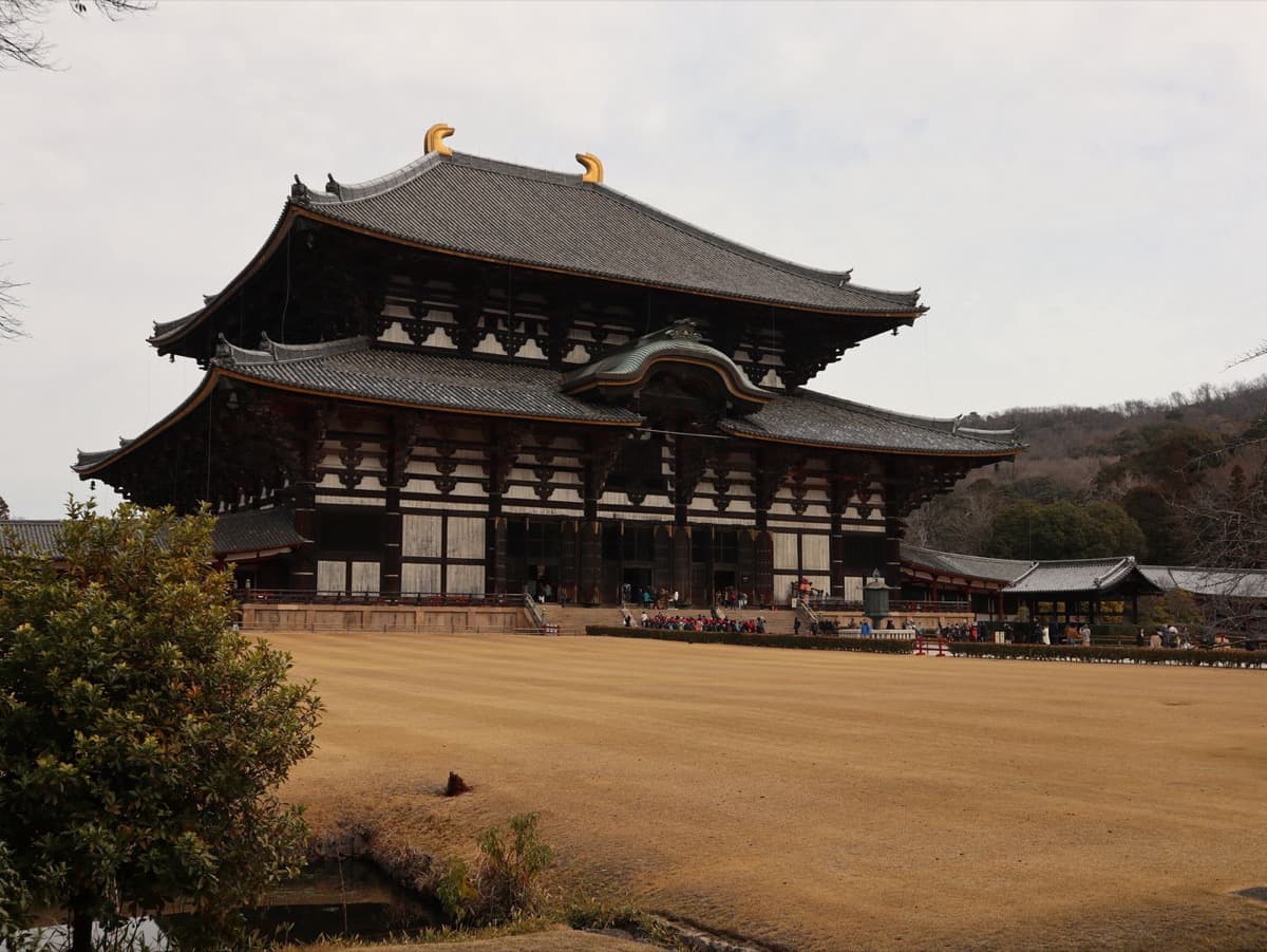 Nara Park and Todai-ji: The Great Buddha
