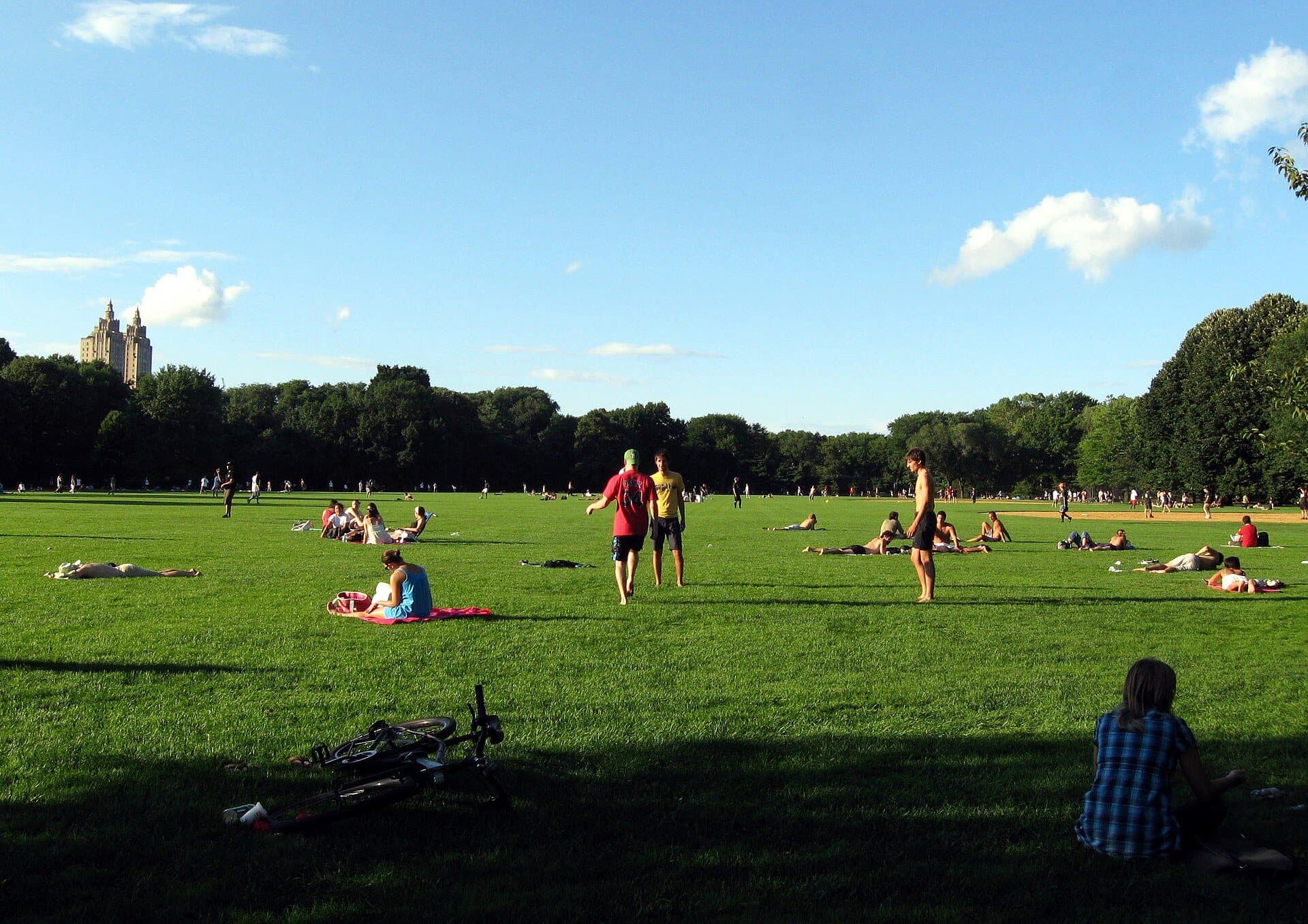 Great Lawn: The Reservoir That Became a Lawn