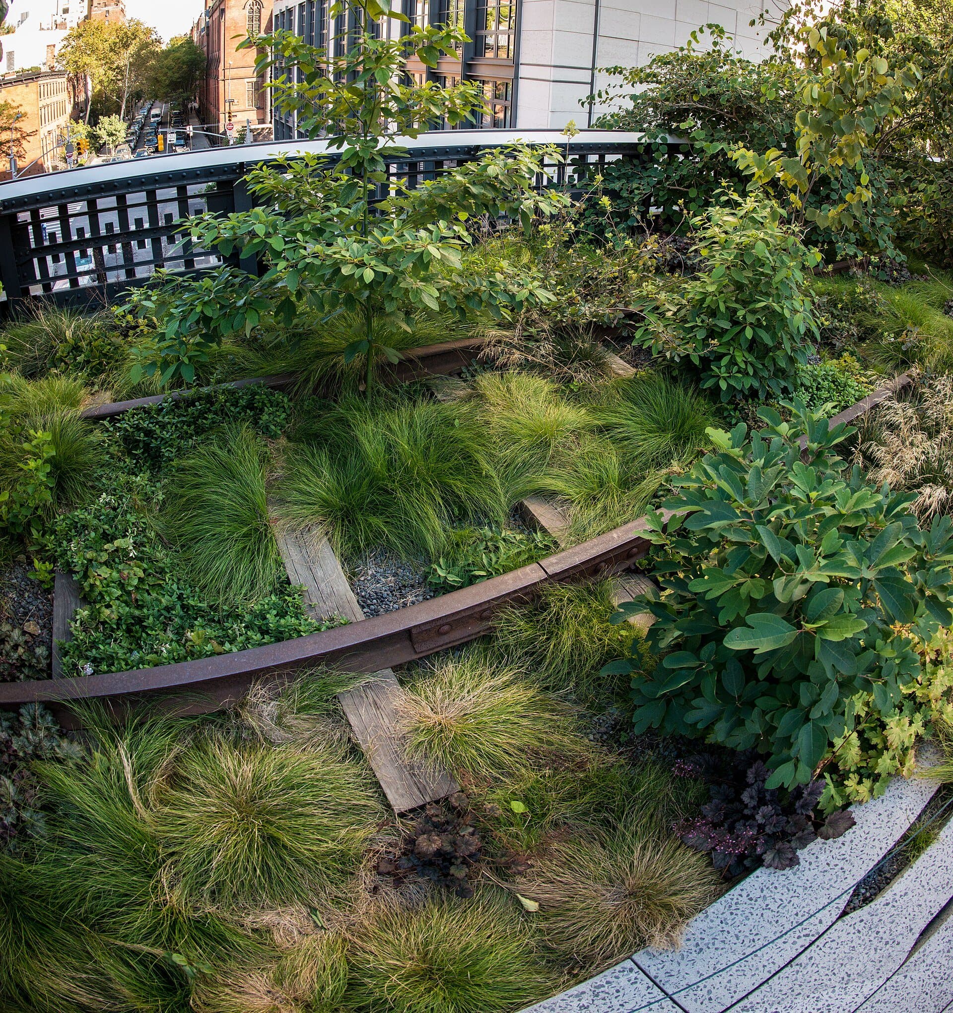 Chelsea Thicket: Walking on the Old Rails