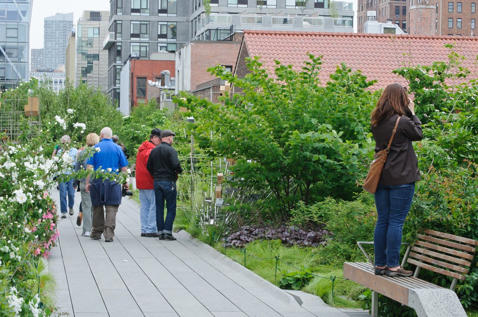 Chelsea Thicket: Walking on the Old Rails