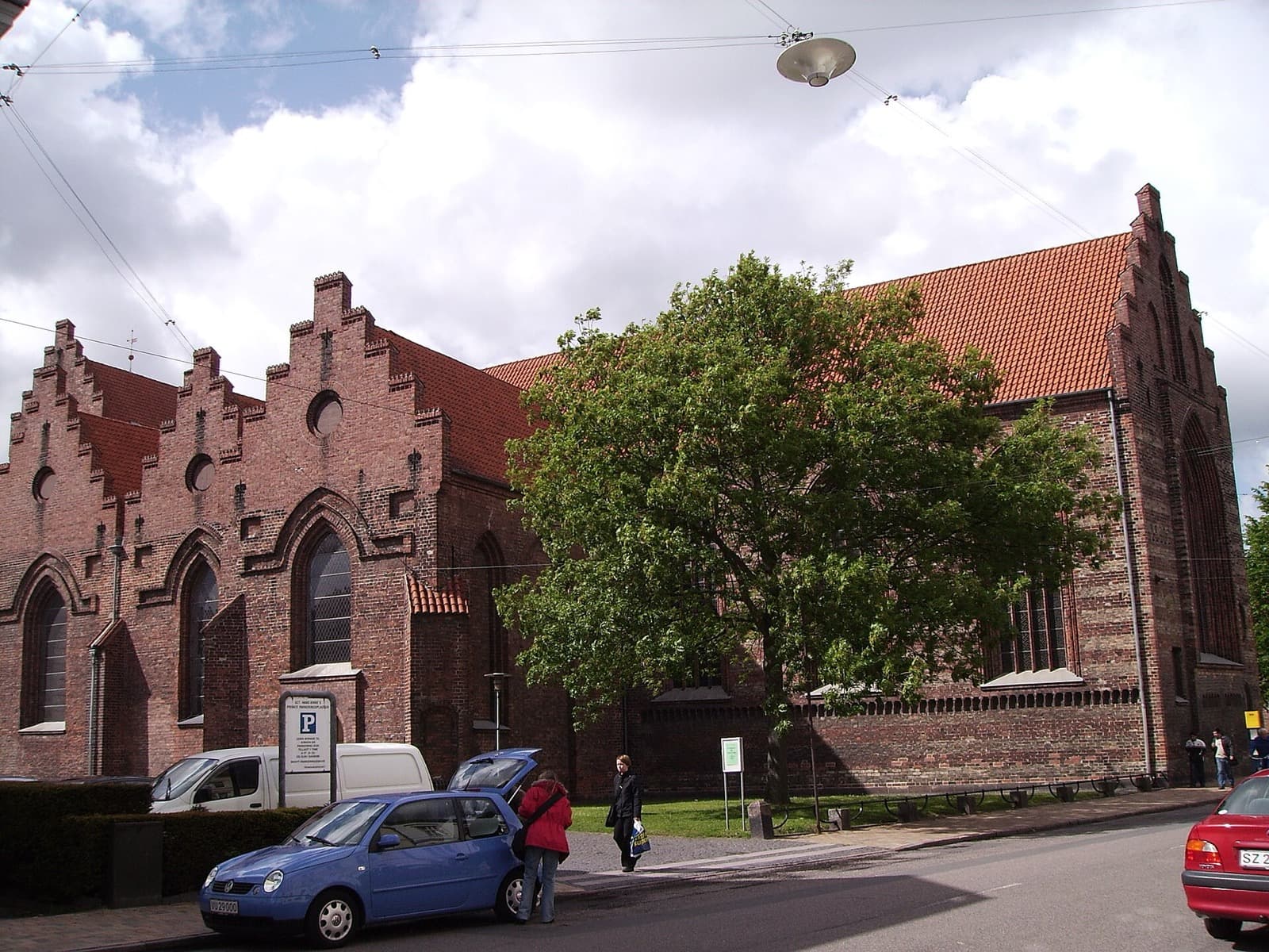 What to Eat in Odense: Funen's Local Dishes and How to Order Them
