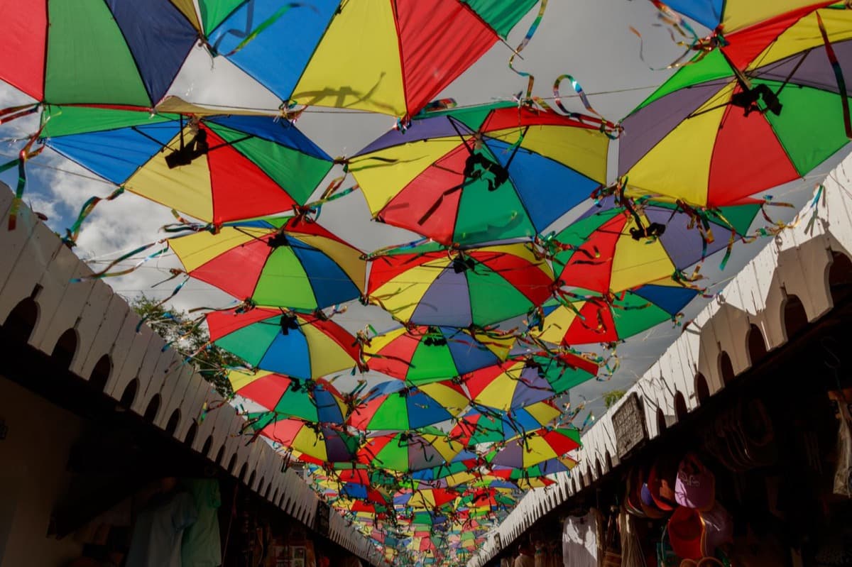 Carnival Town: Giants, Frevo, and the Steep Streets