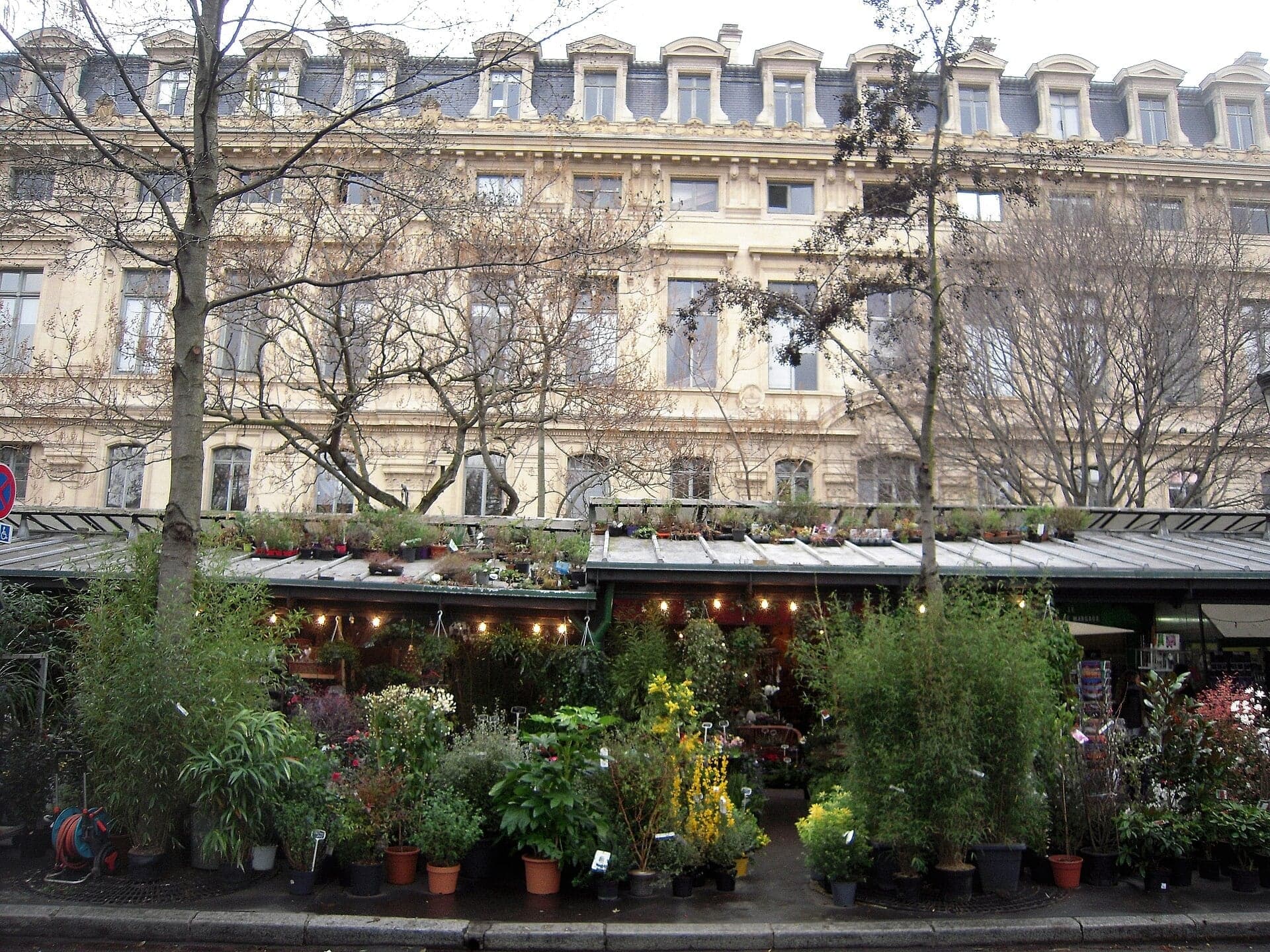 Place Louis-Lépine: Flowers Among the Courts