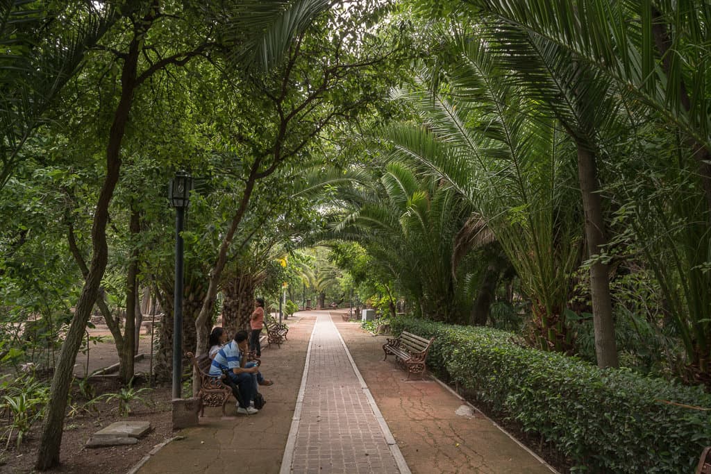 Parque Juárez: Orchards Made Into a Garden