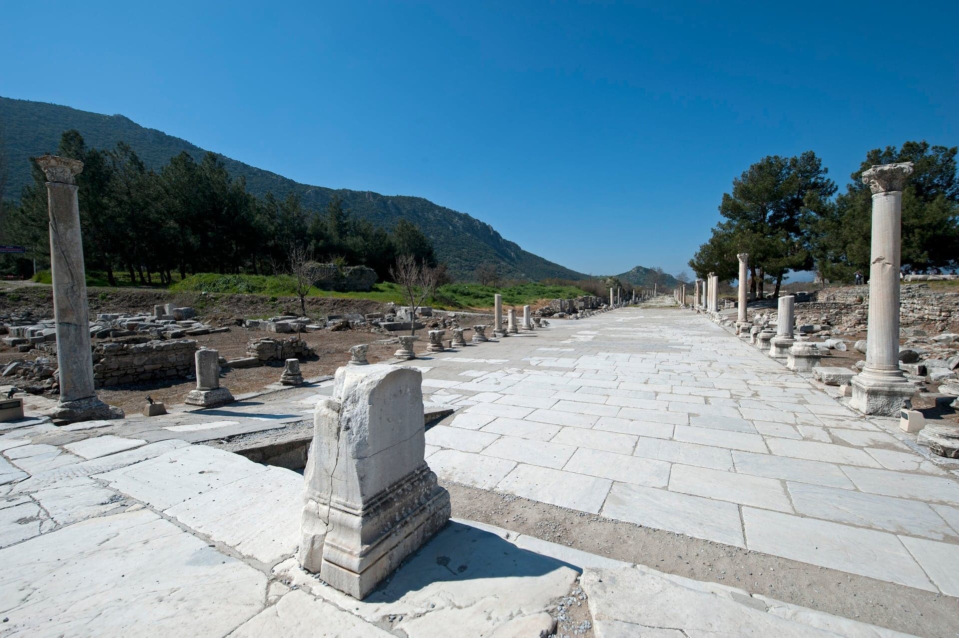 Arcadian Way: The Street to a Vanished Sea
