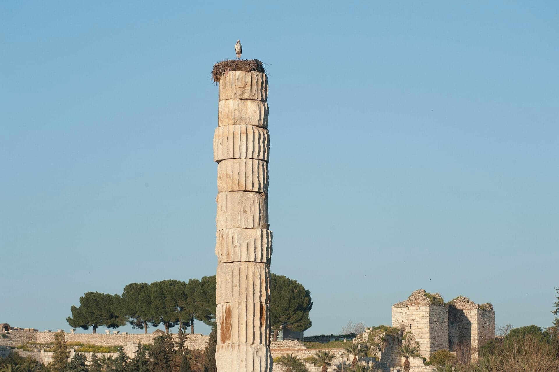 One Day in Selcuk and Ephesus: A Walkable Morning-to-Evening Itinerary