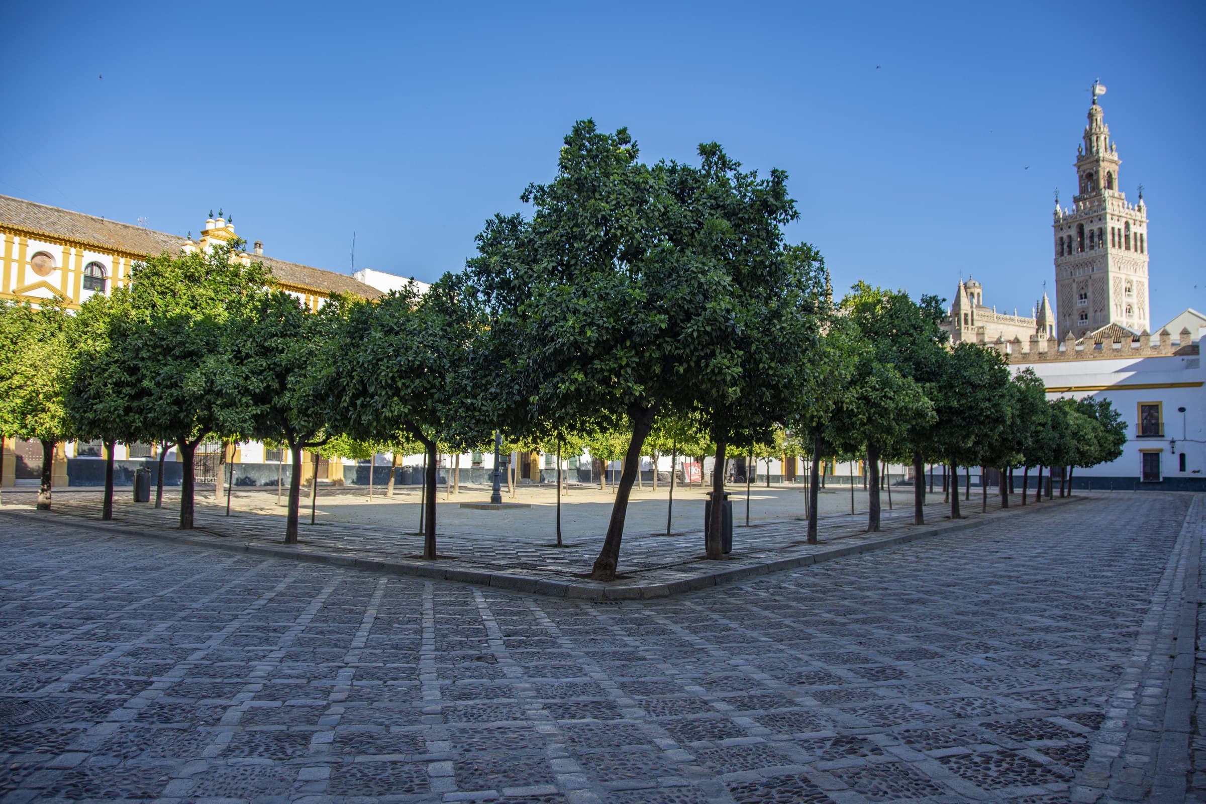 Patio de Banderas: The Cathedral That Was Not There