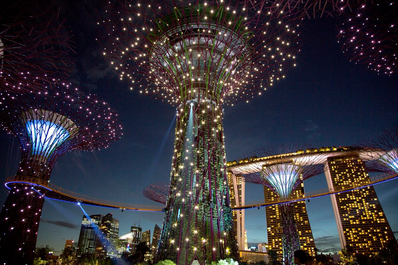 The Supertree Grove: Singapore's Engineered Forest on Reclaimed Sea