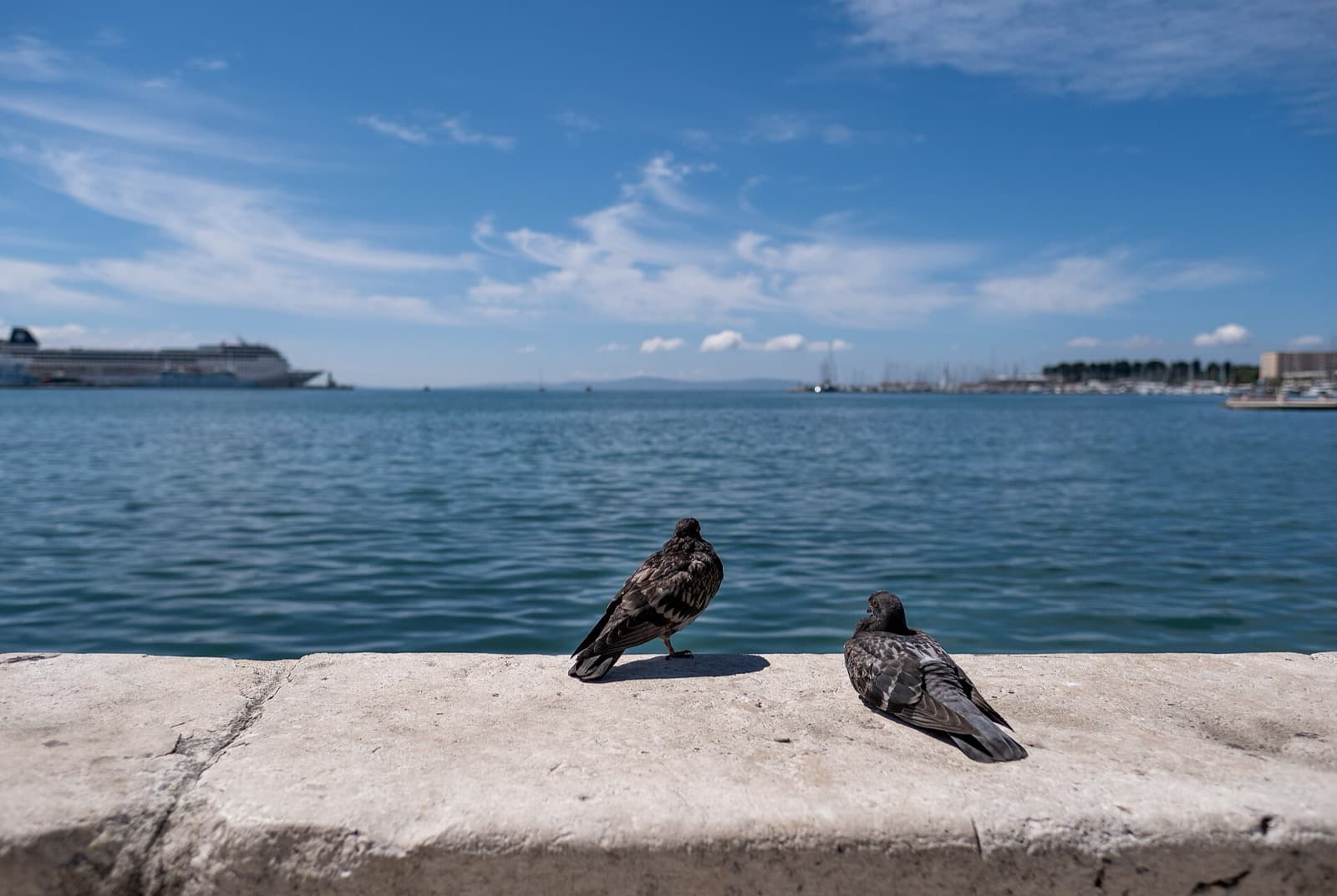 The Riva in Split: Why the Whole City Comes Down to the Water