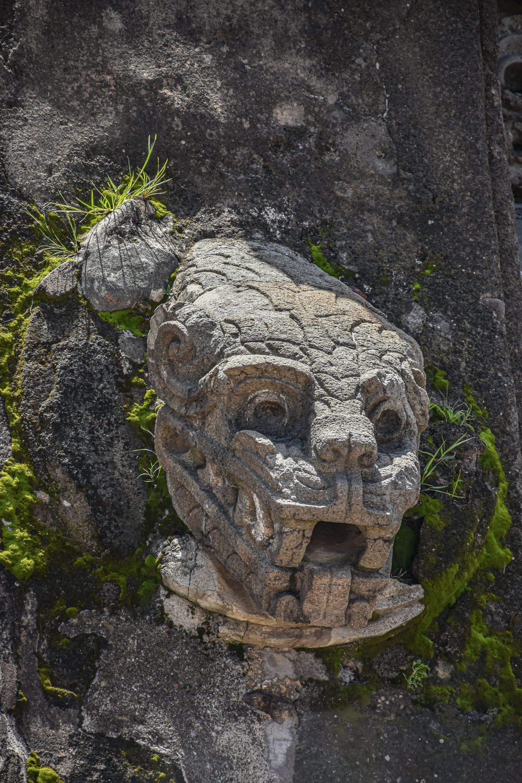 Temple of the Feathered Serpent: The Carvings Saved by Burial