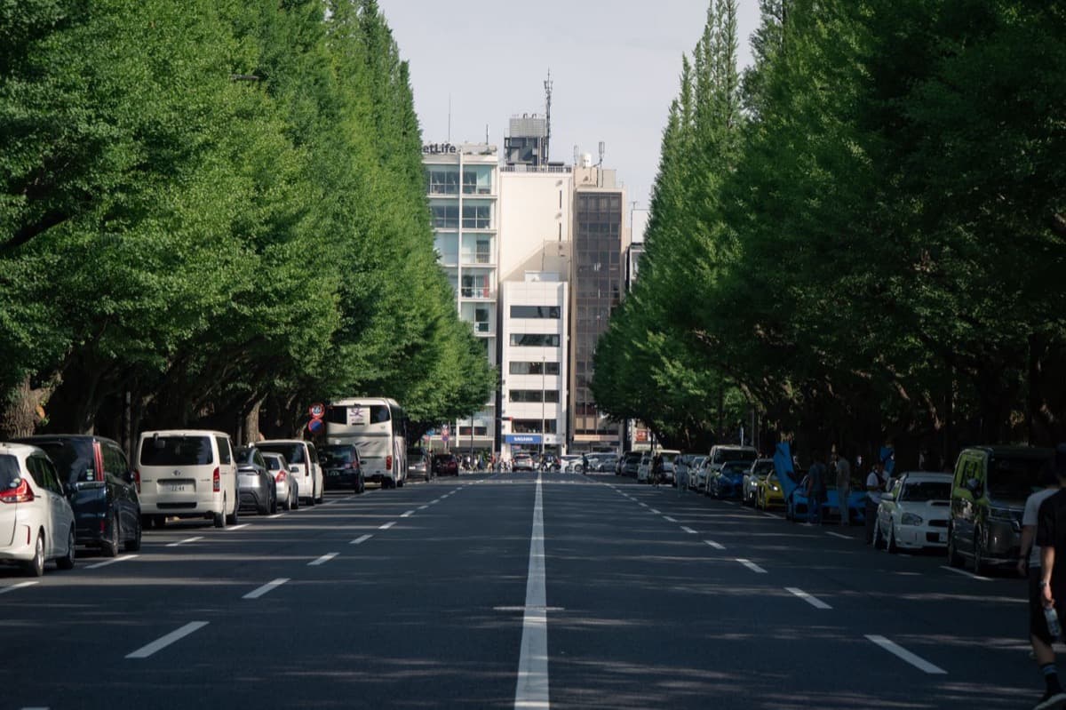 Omotesando and Harajuku: The Architects' Catwalk
