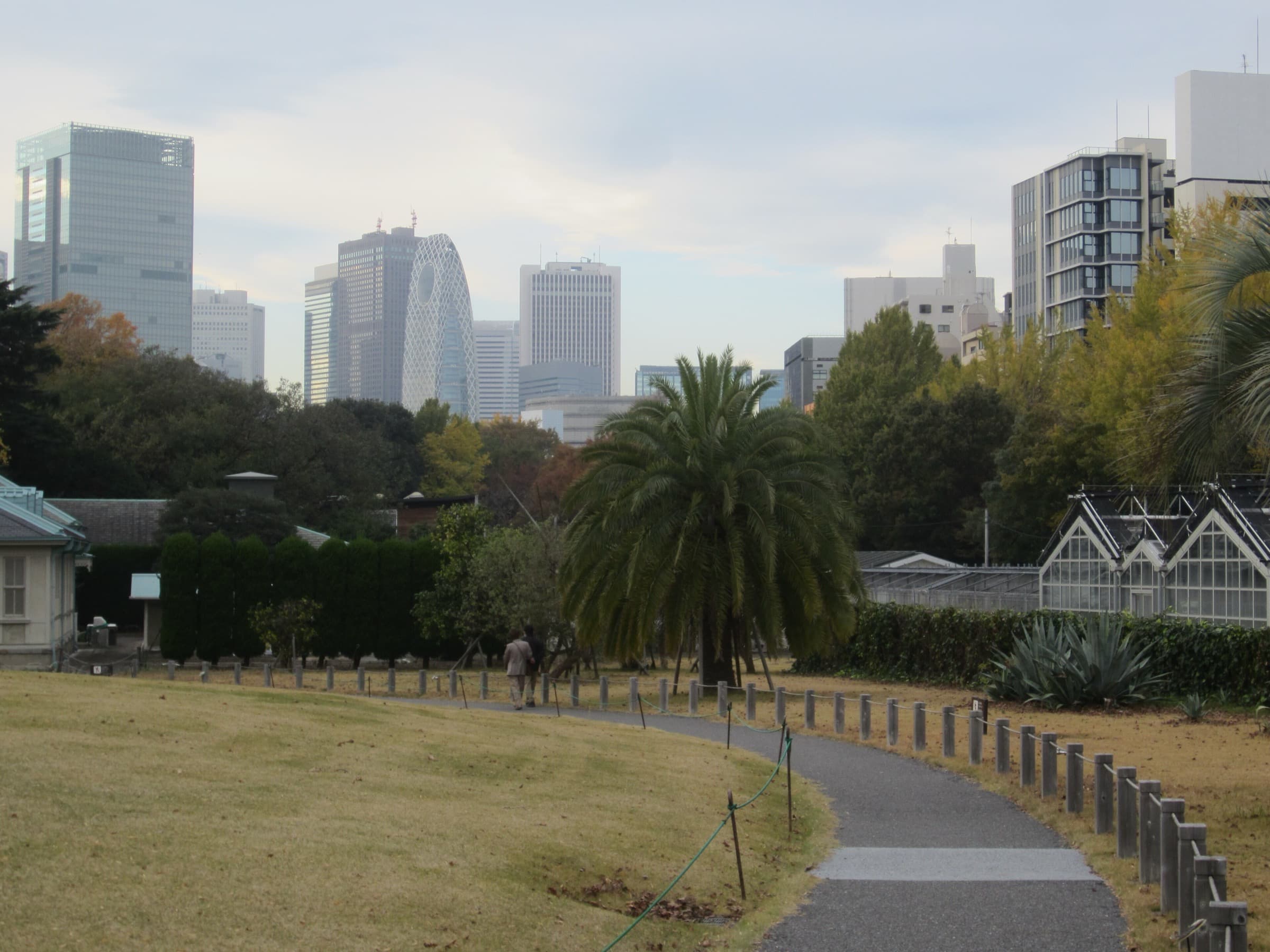 The Old Conservatory: Glass Over Tokyo