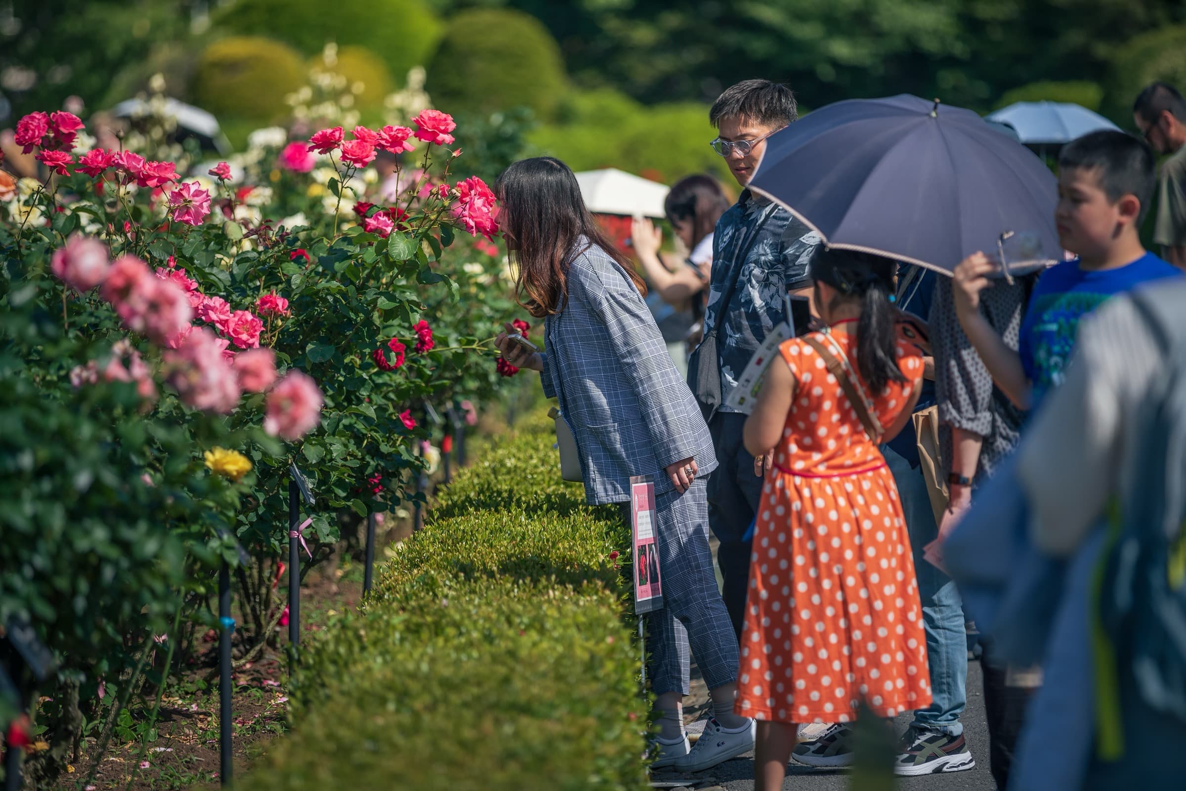 The Formal Garden: Paris by Way of Versailles