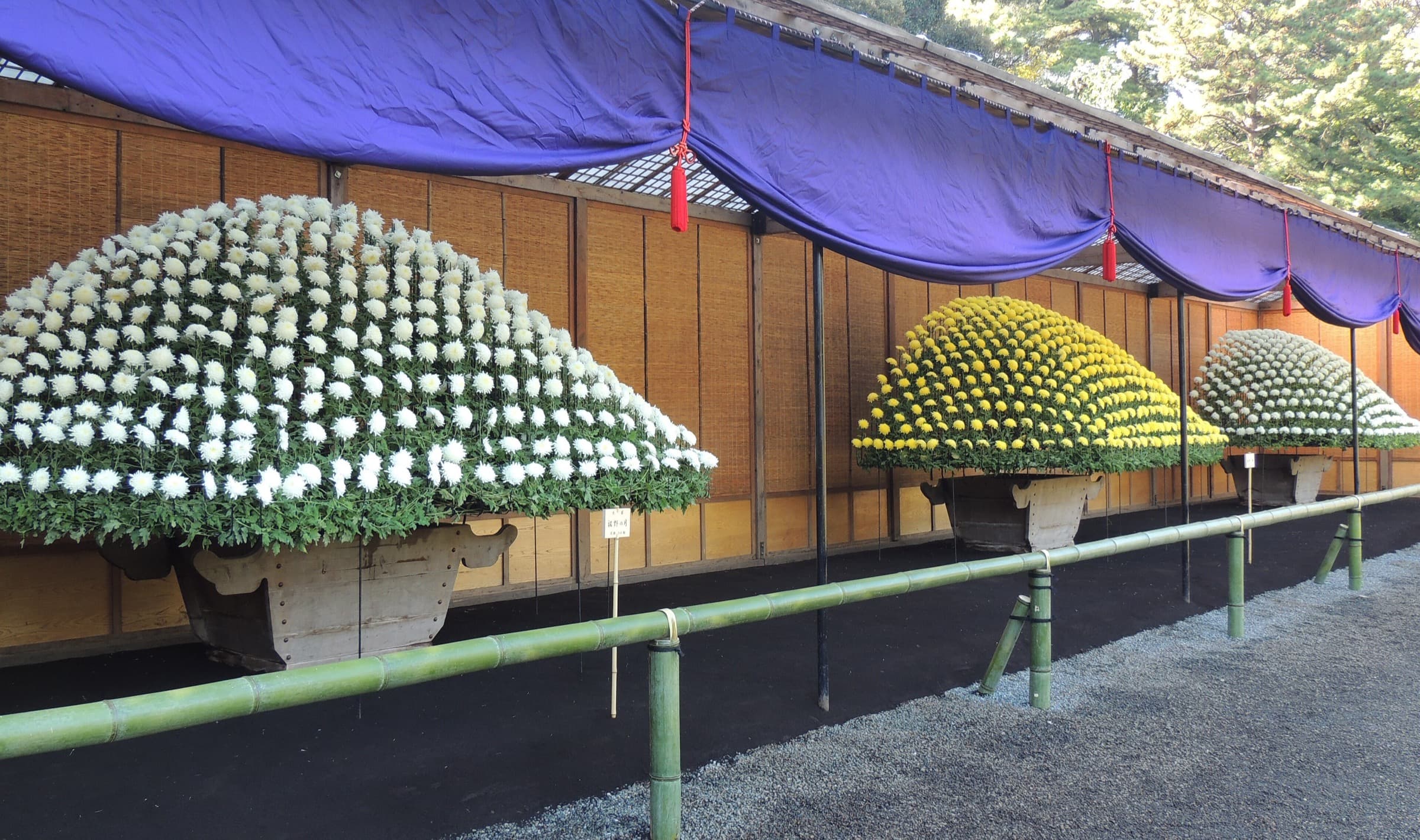 Rakuu-tei: Tea, Plums and Chrysanthemums