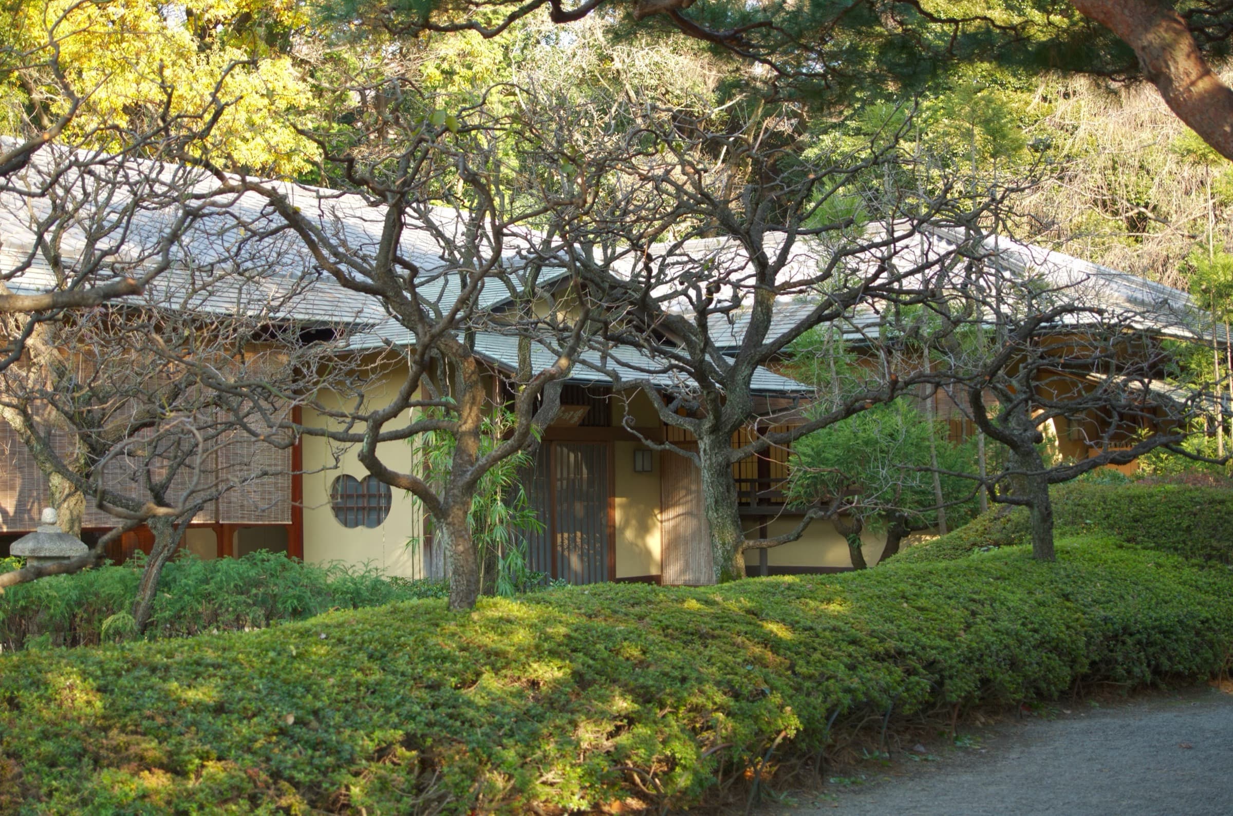 Rakuu-tei: Tea, Plums and Chrysanthemums