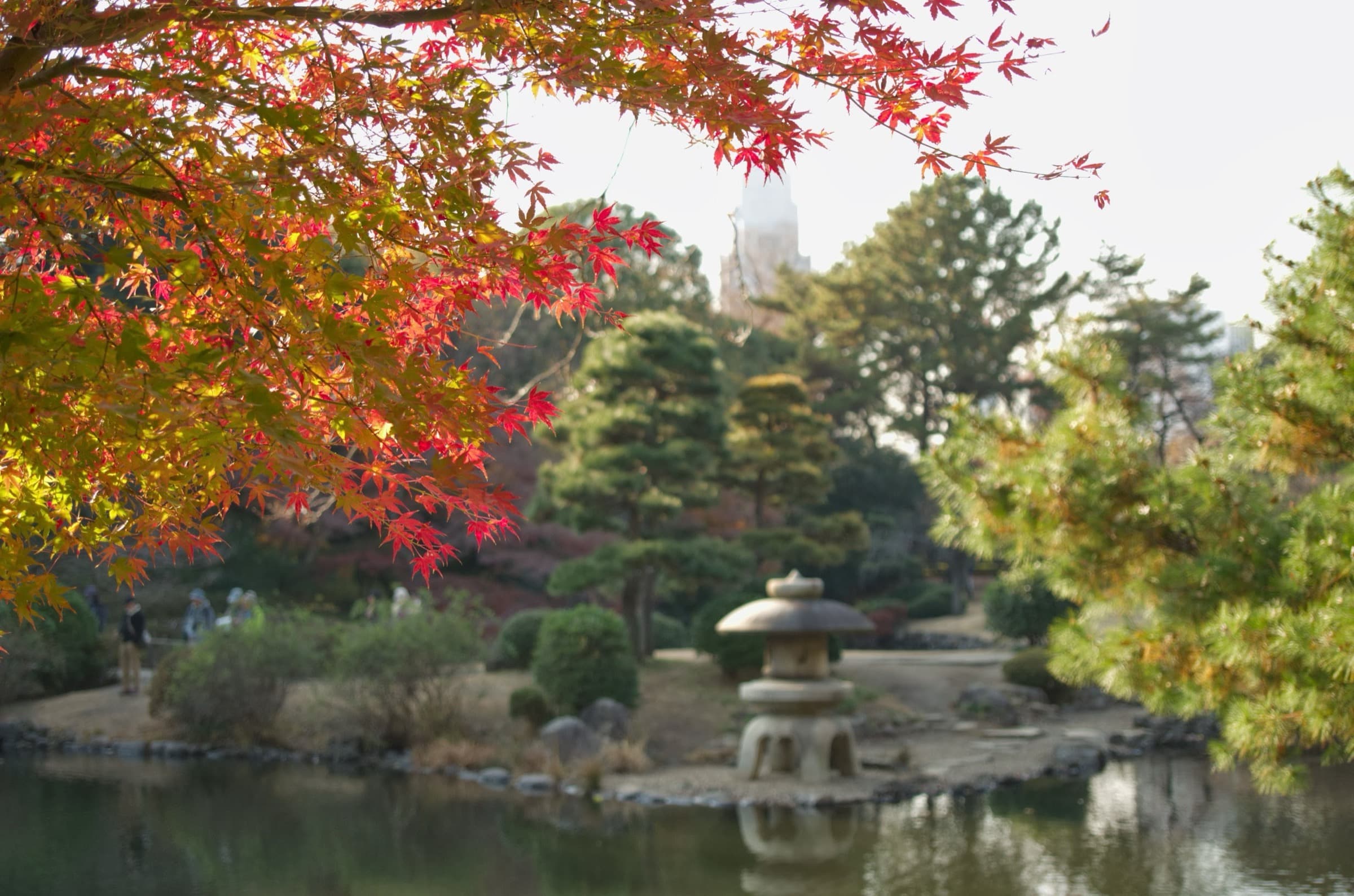 Tamamo Pond: The Oldest Garden