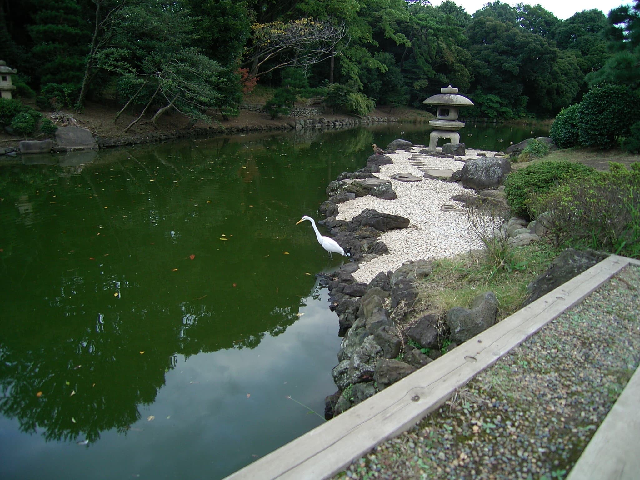 Tamamo Pond: The Oldest Garden