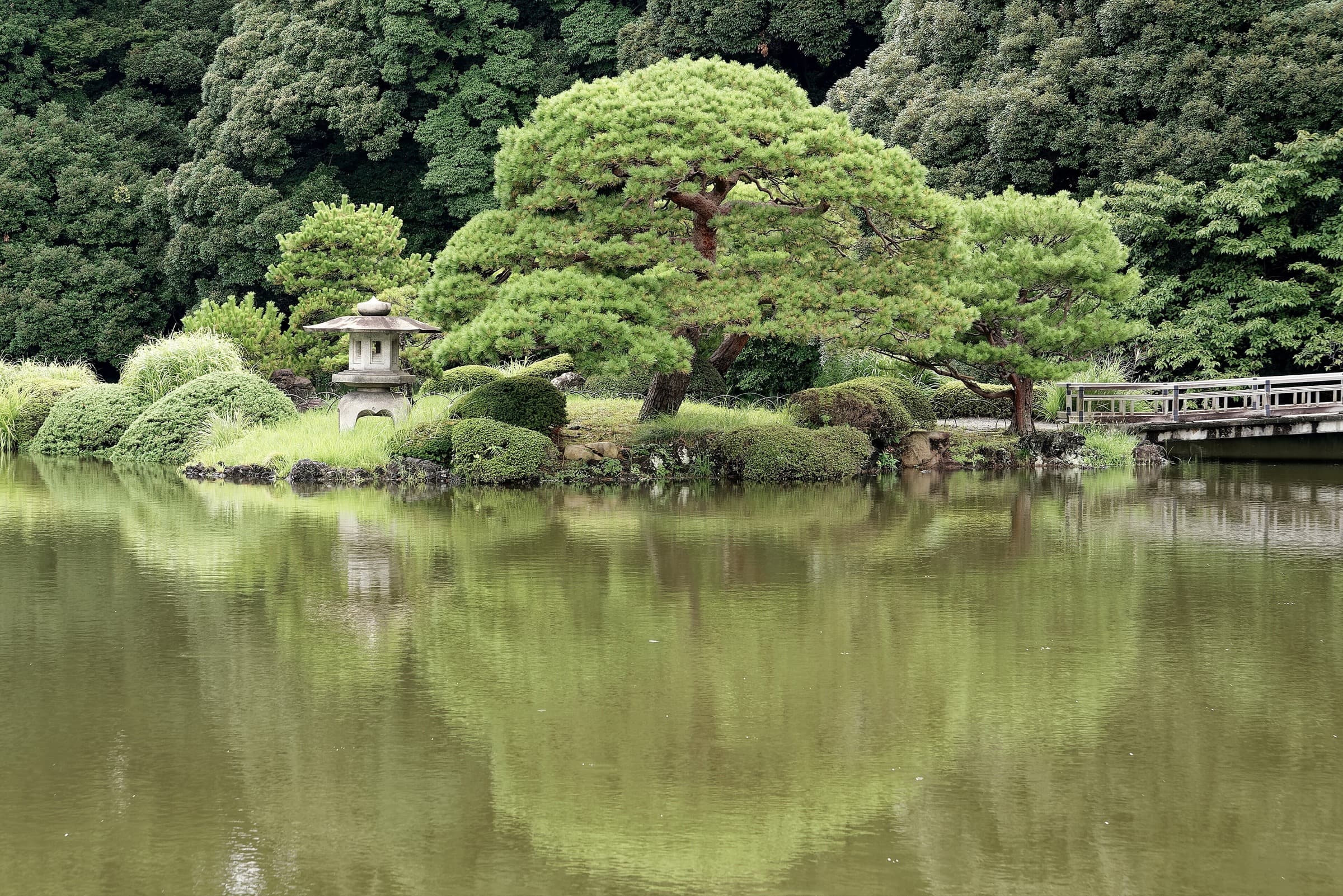 Upper Pond: From Duck Hunts to Stillness
