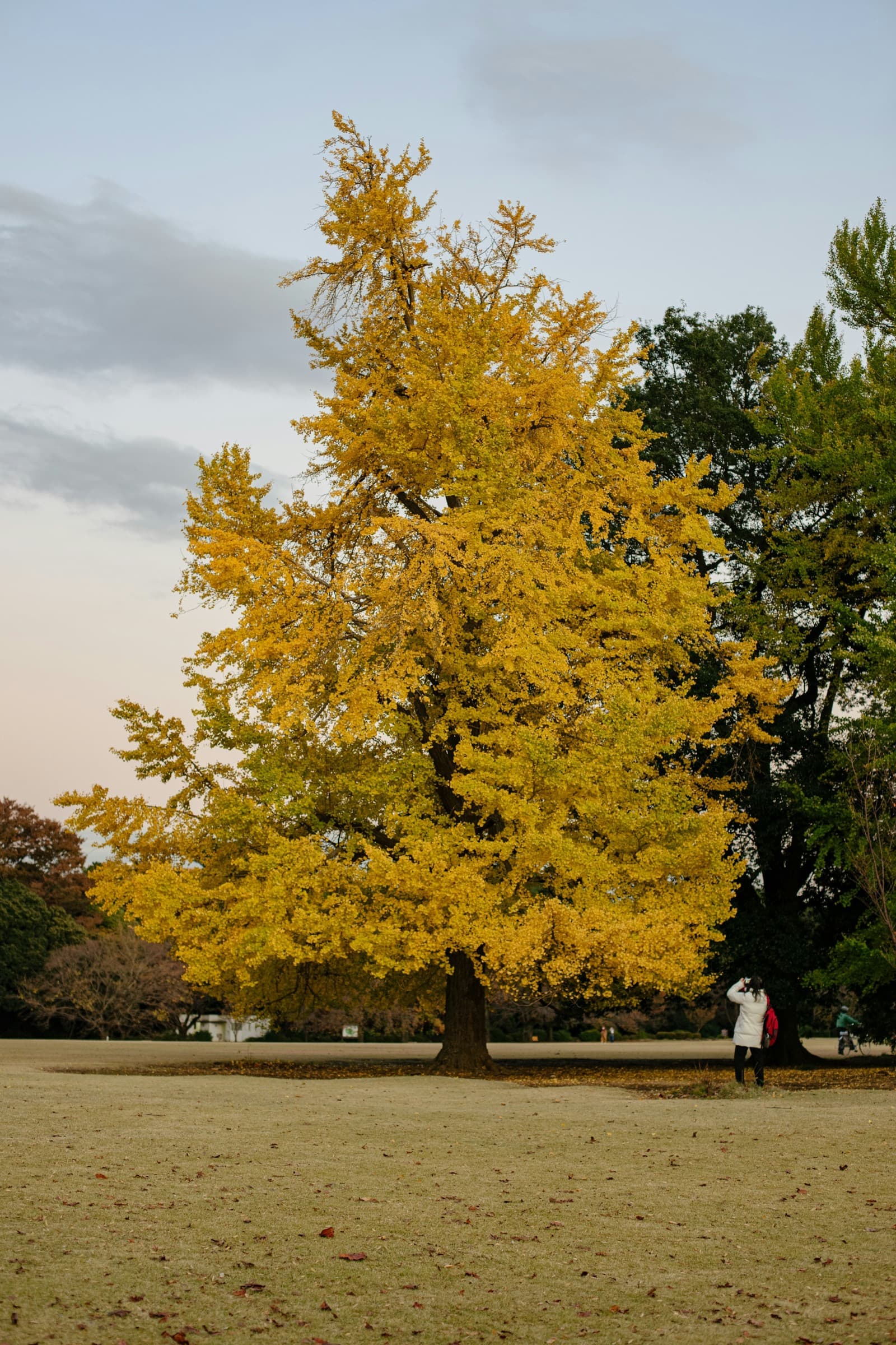 The Landscape Garden: A Farm Laboratory