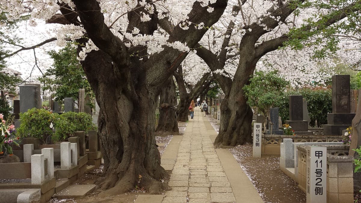 Yanaka Cemetery: Where the Last Shogun Lies