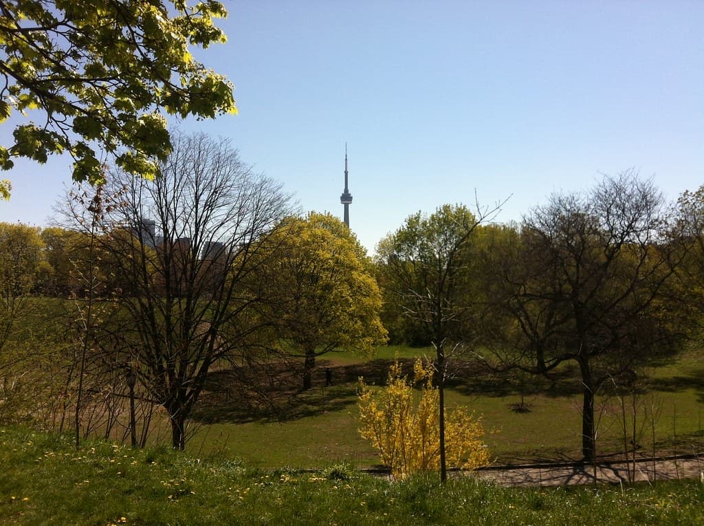 Trinity Bellwoods: The River Under the Lawn