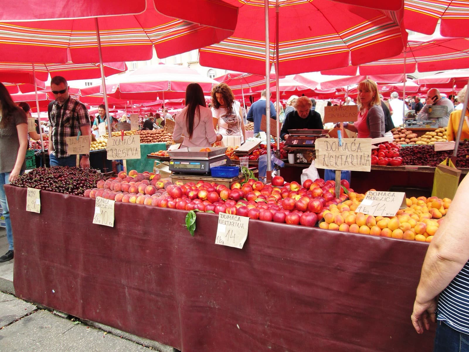 Dolac Market and the Seam That Made Zagreb One City