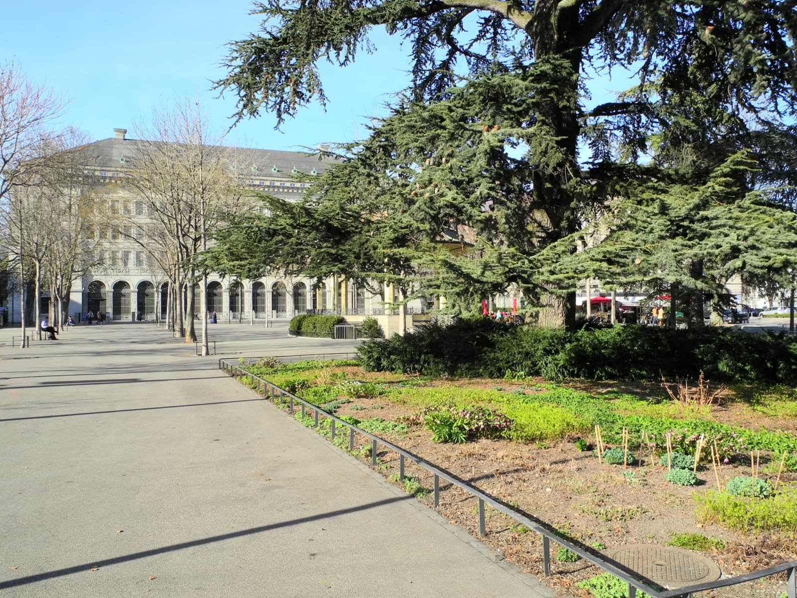 Buerkliplatz: Where the Street of Gold Meets the Lake