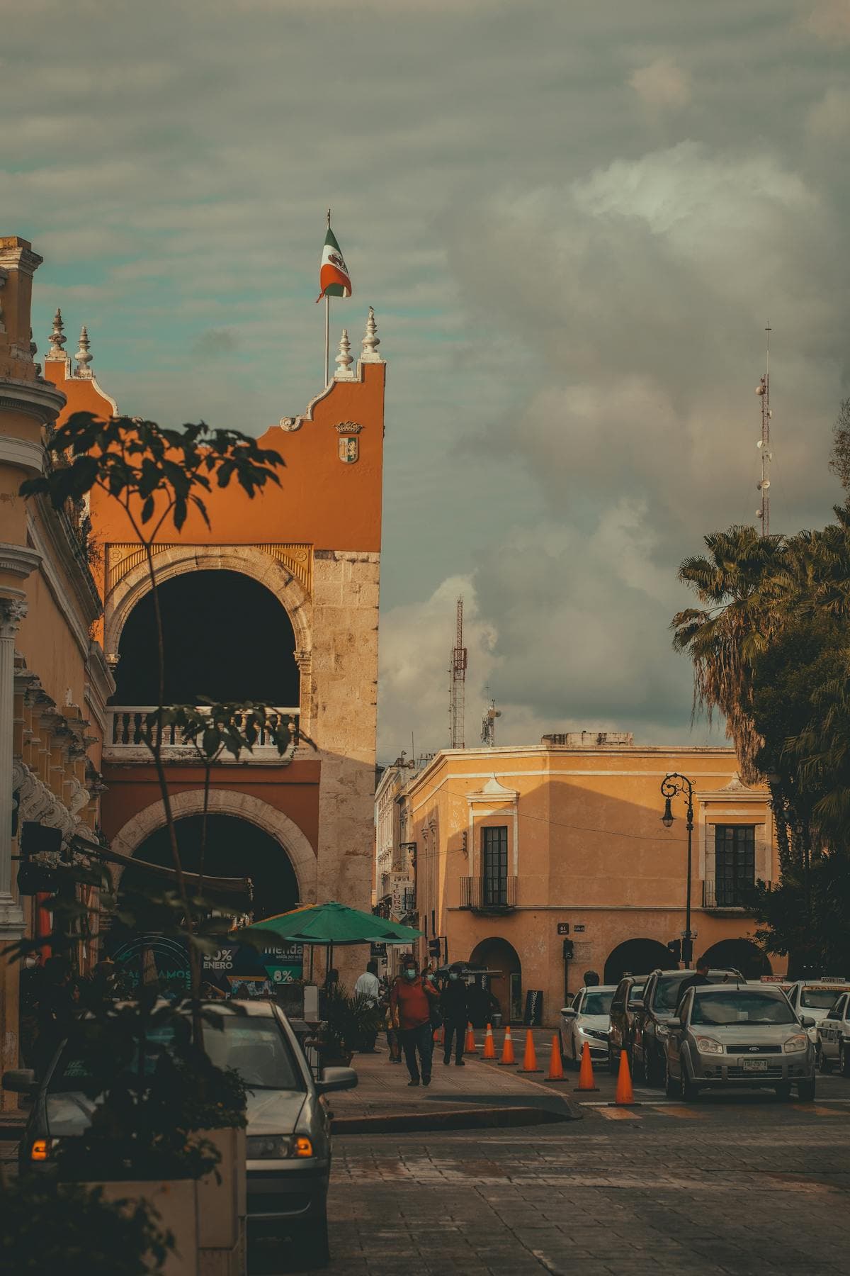 Green Gold & Grand Mansions