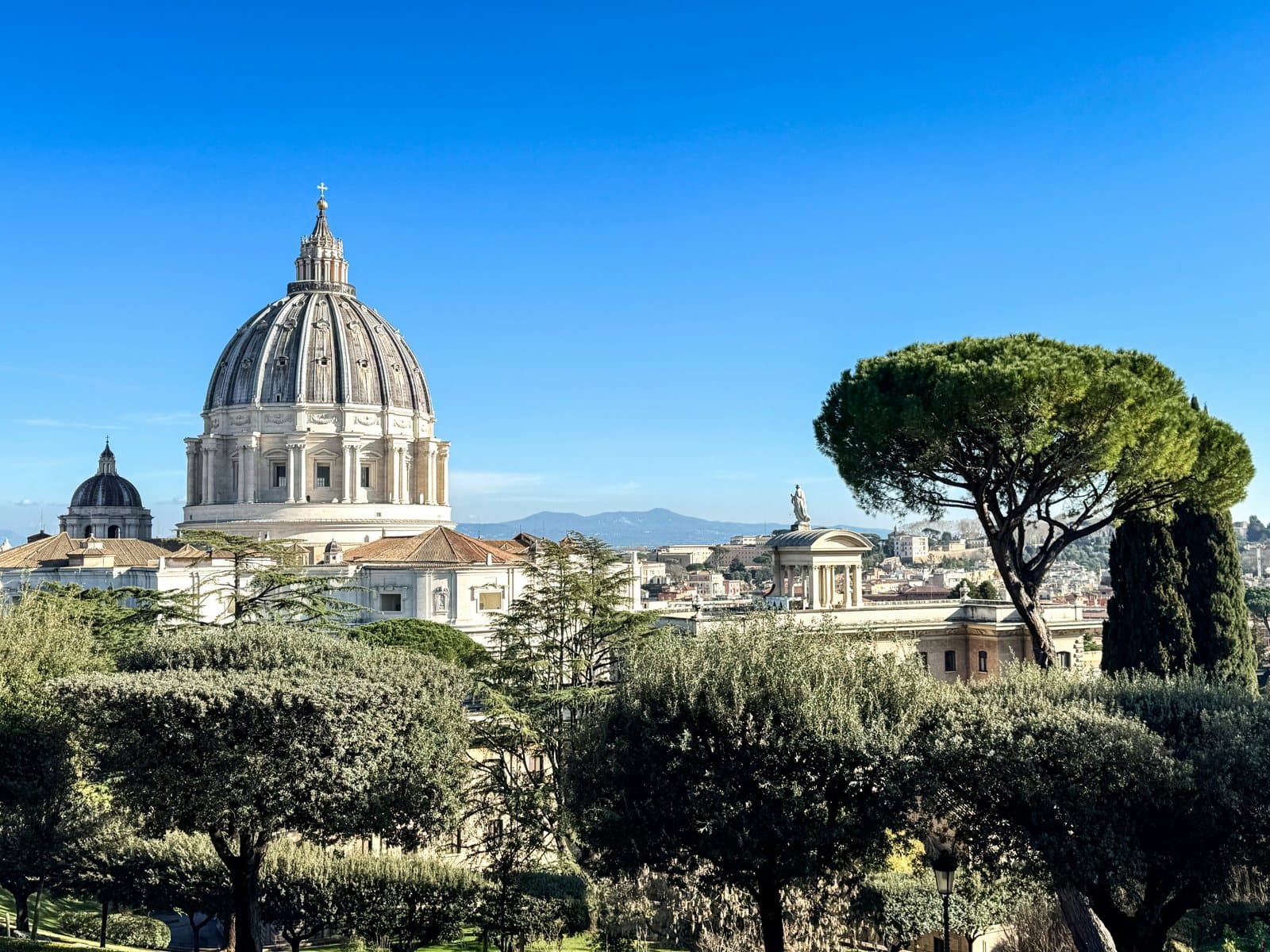 Vatican Museums: St Peter's dome over the trees of the Vatican Gardens