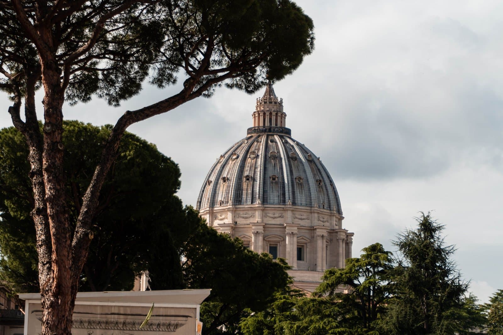 Vatican Museums: St Peter's dome through the umbrella pines of Vatican City