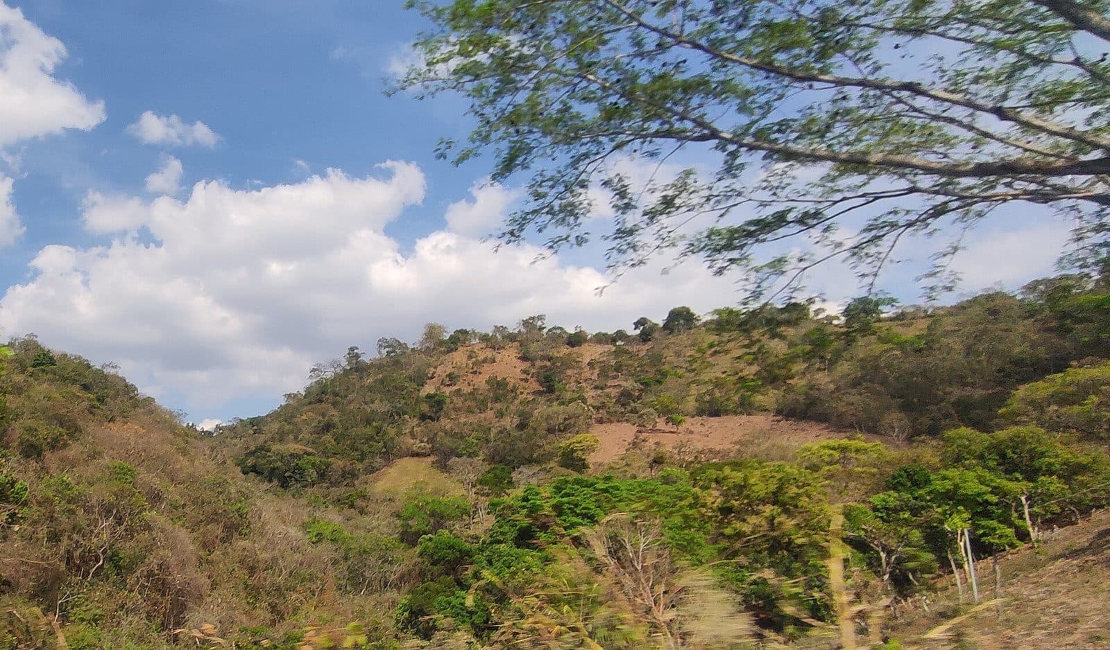 Self-Guided Walking Tours in El Salvador (2026)