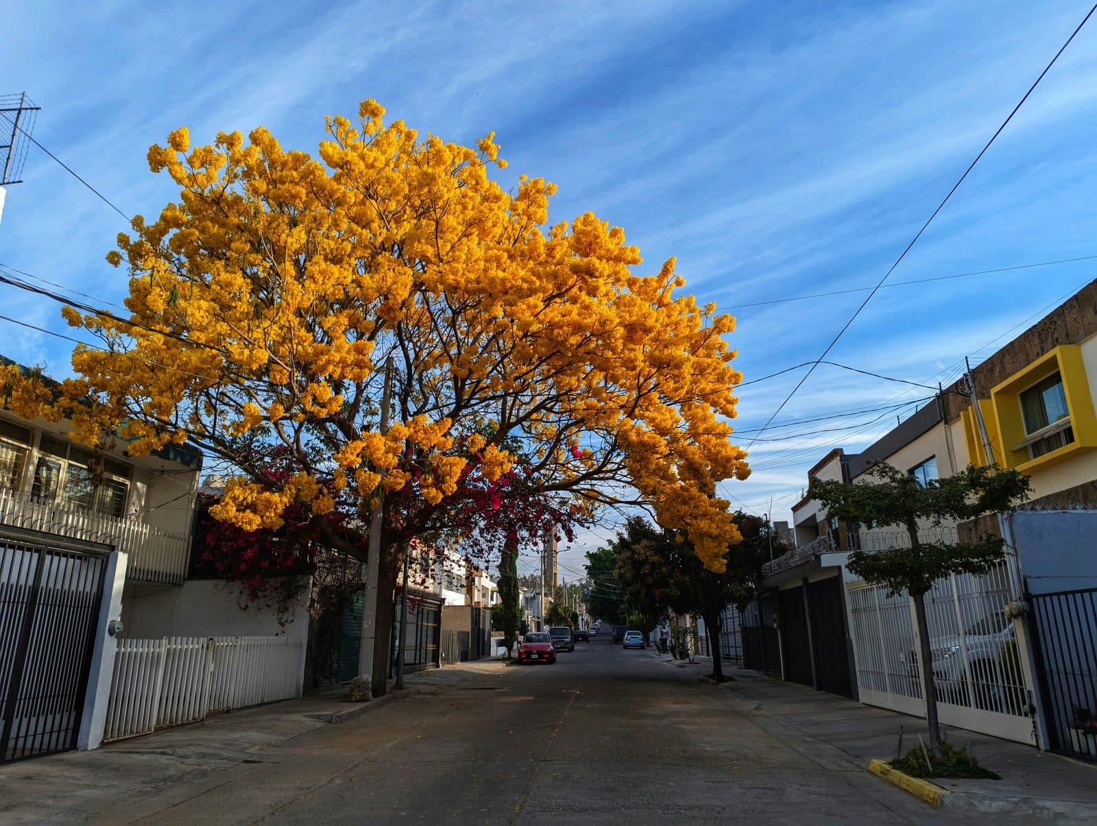 Mariachi, Tequila, and the Cross: How to See Guadalajara