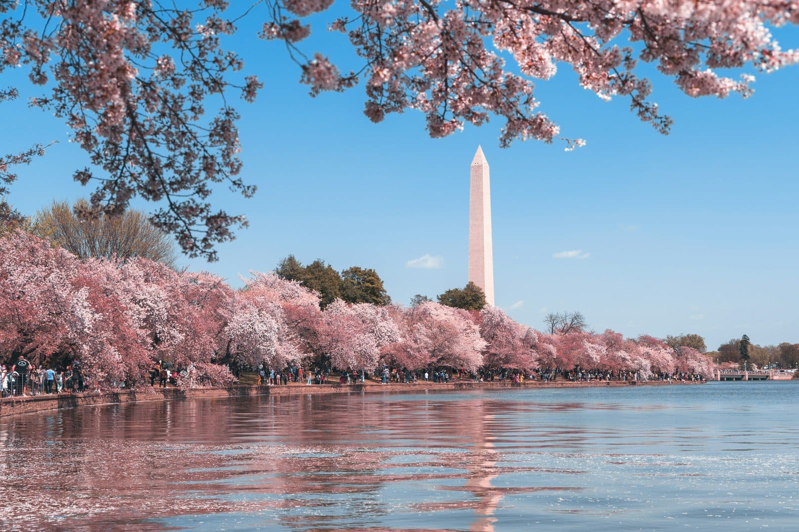 One Day in Washington, DC: A Walkable Monuments-to-U-Street Itinerary (2026)