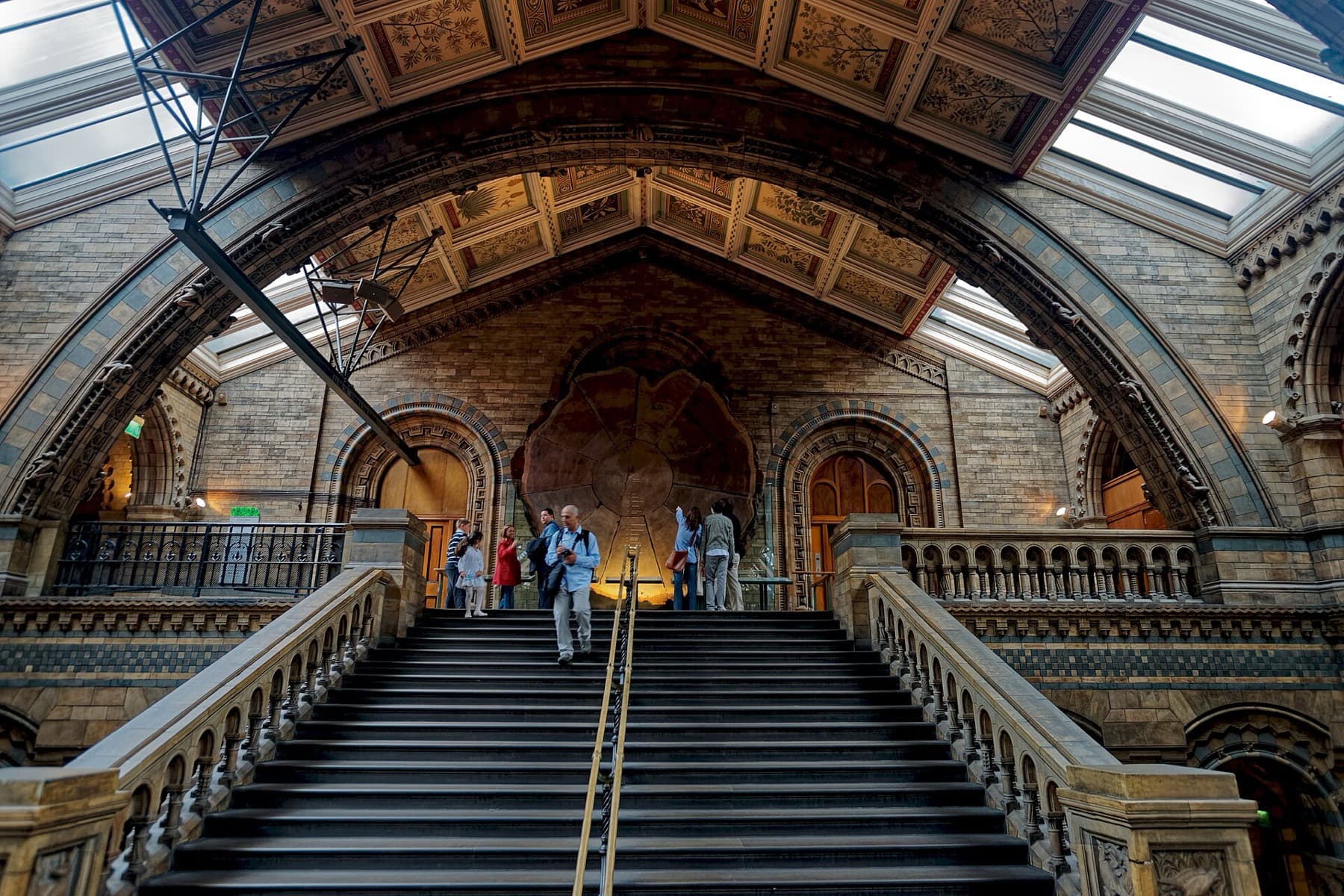 The Giant Sequoia at the Natural History Museum: 1,341 Years in One Slice