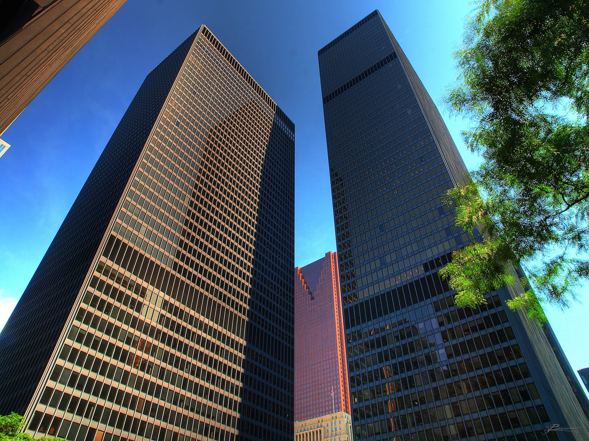 Toronto-Dominion Centre: The Last Sentence in Mies's Grammar