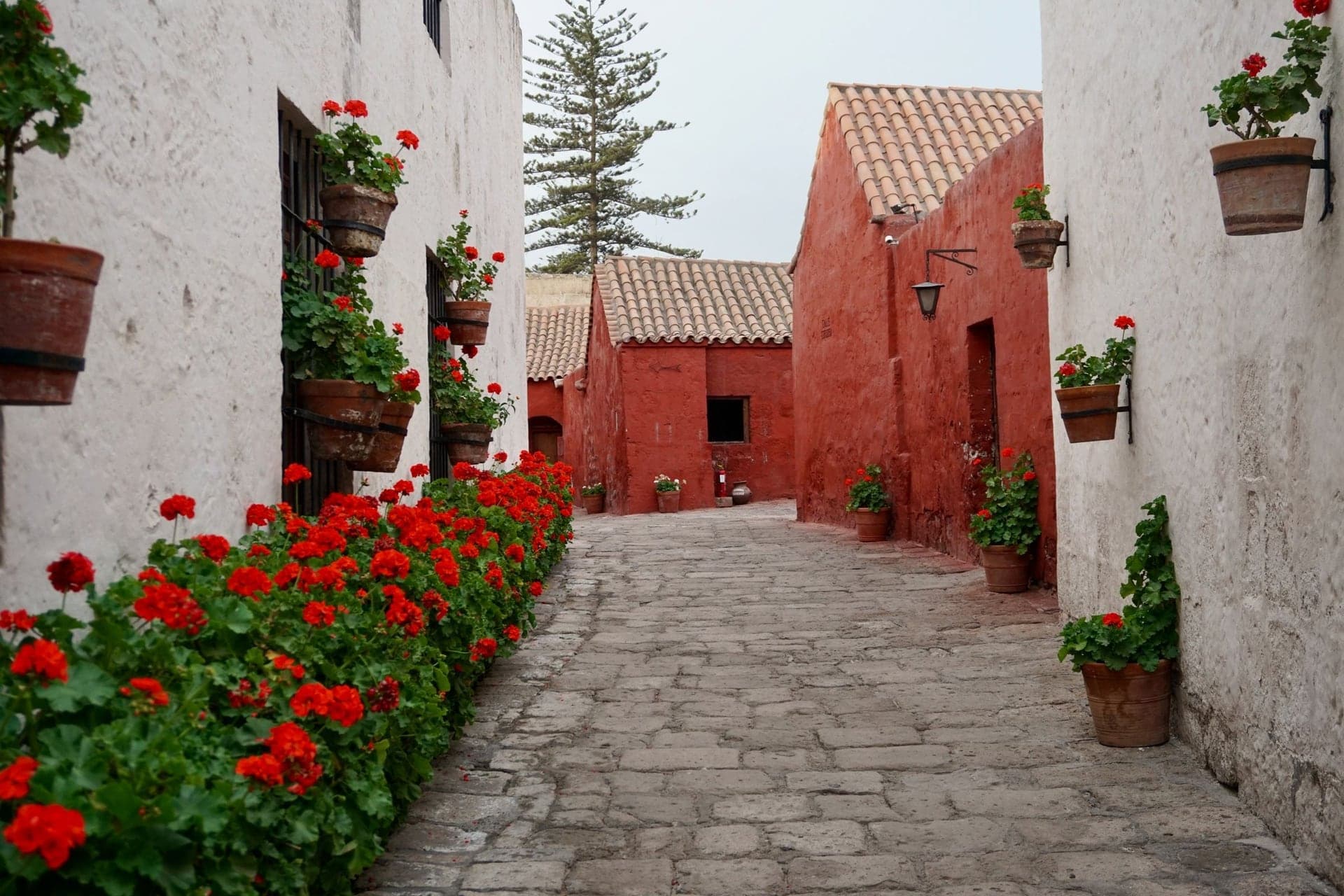 Calle Córdoba: The Painted Streets of Santa Catalina