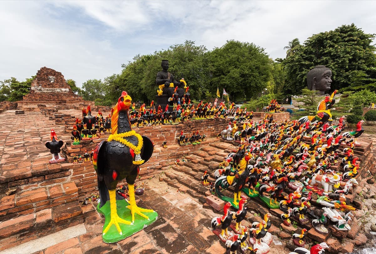 Wat Thammikarat: The Vigil of the Lions