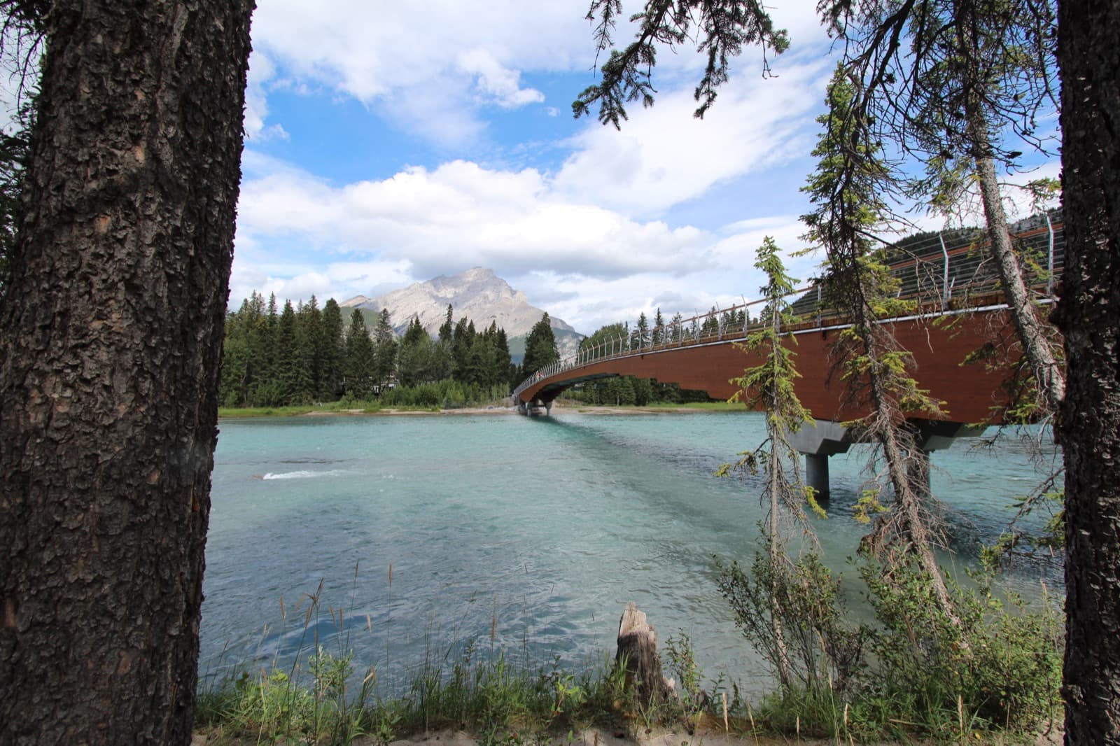 The Bow River Crossing (Nancy Pauw Bridge)
