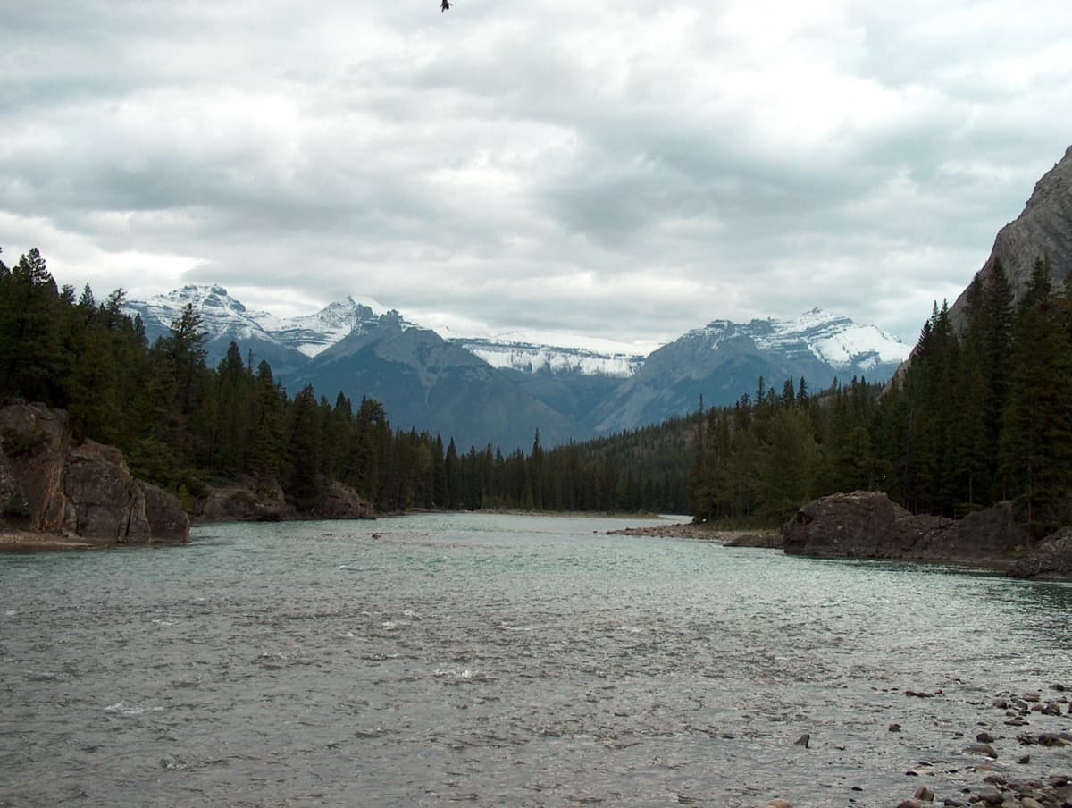 Bow & Spray Confluence