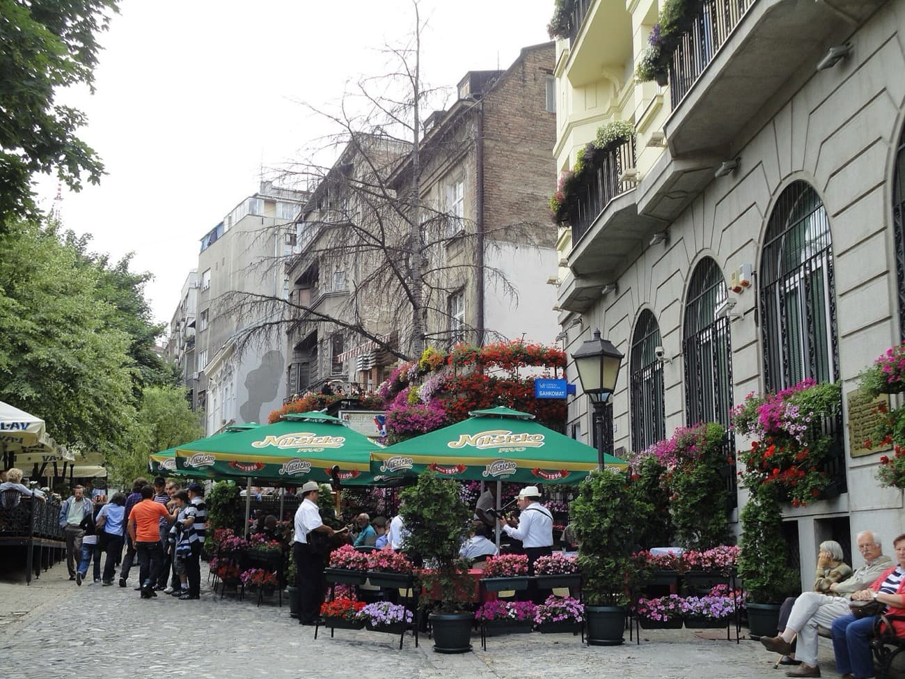 Skadarlija: Reading Belgrade's Bohemian Quarter, Cobblestone by Cobblestone
